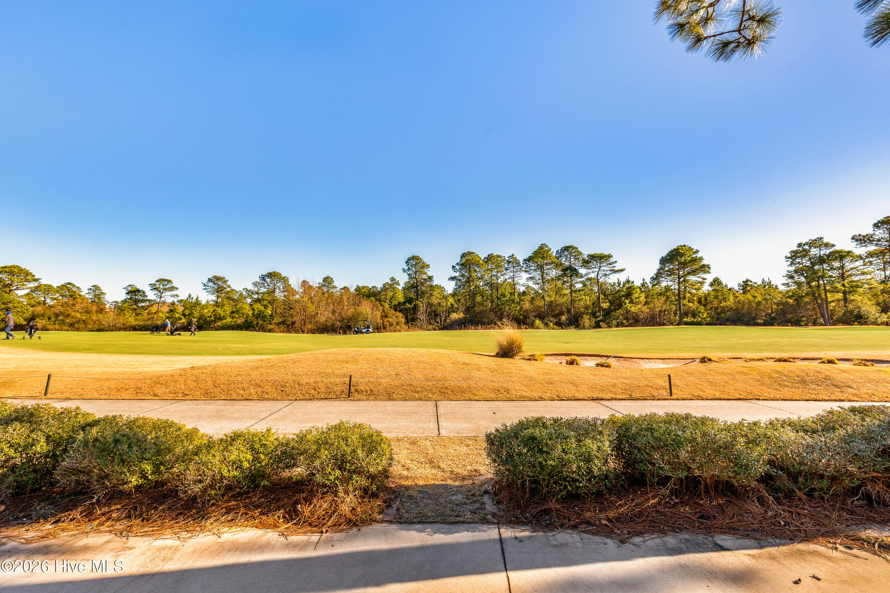 100550205 | Photo 22