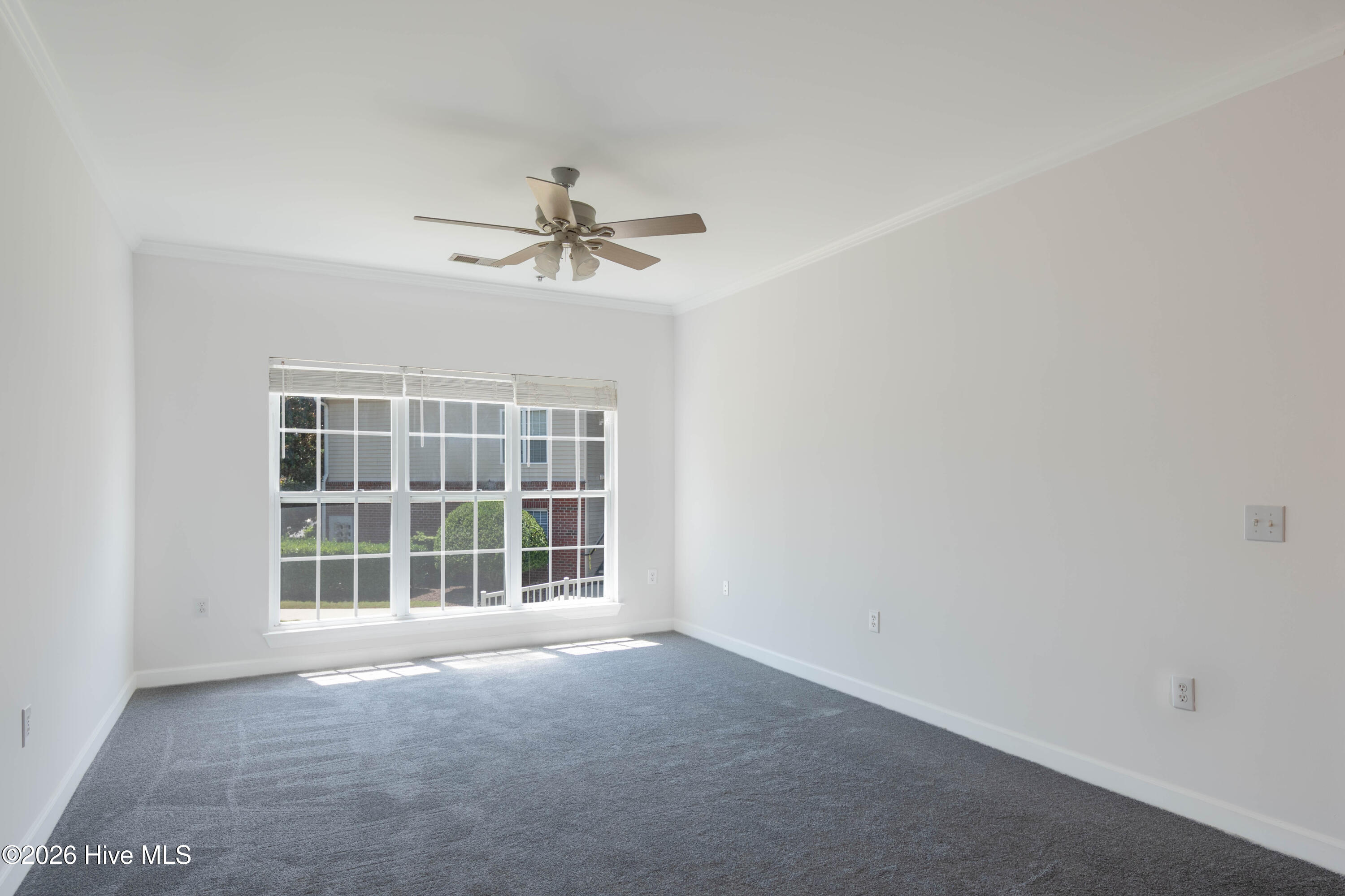 100566741 | Photo 19