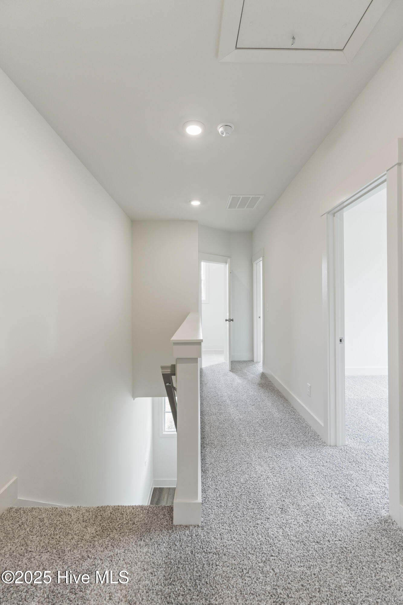 100519186 | Photo 32