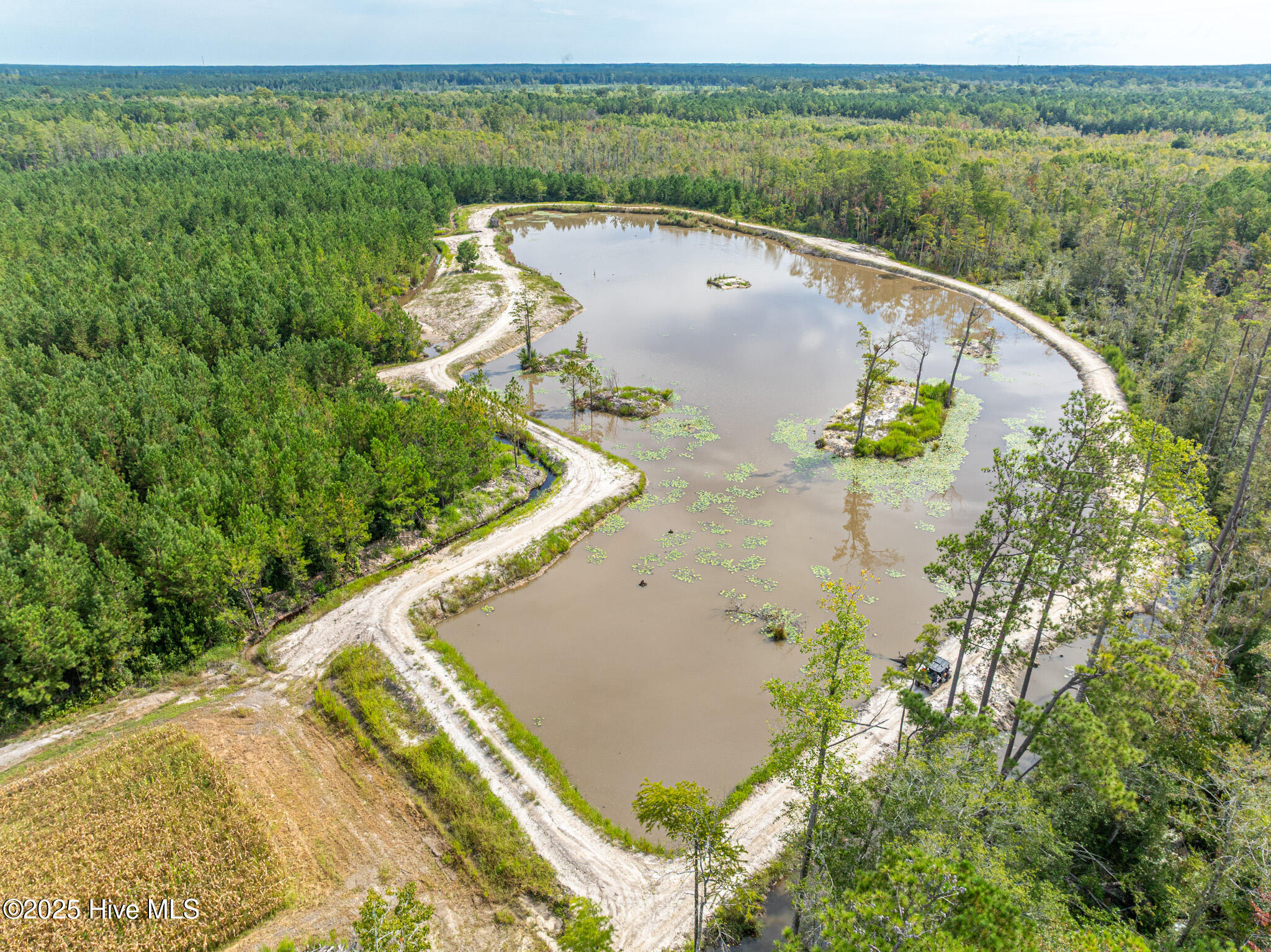 100529531 | Photo 16