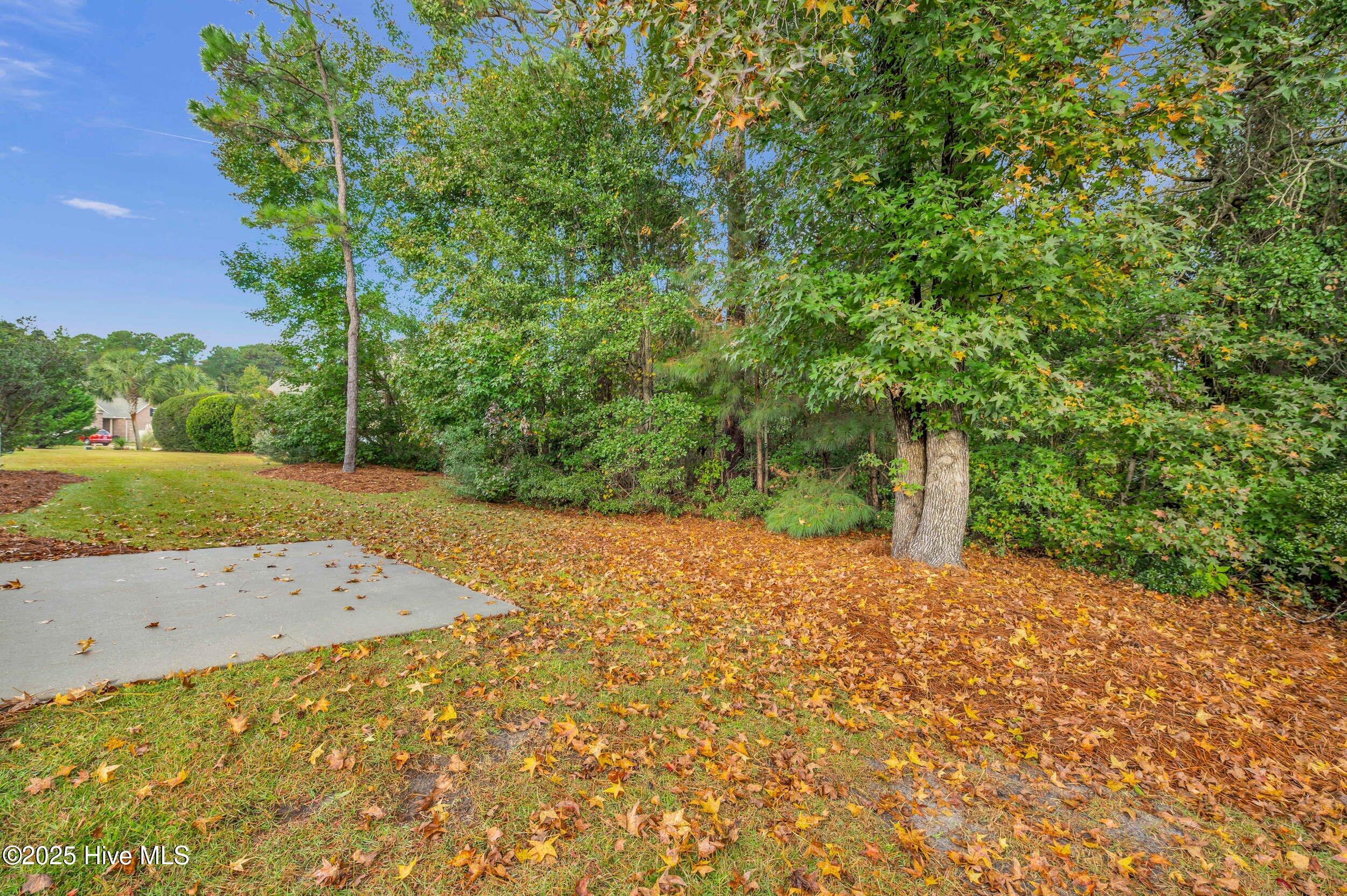 100539518 | Photo 47