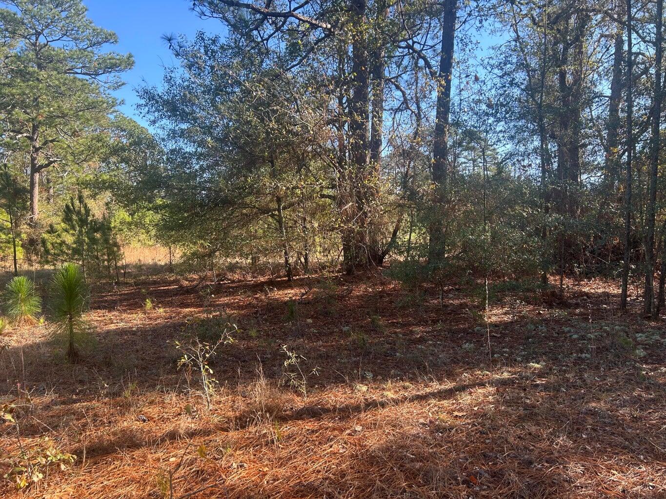 00 Fairway Drive, New Ellenton, SC, 29809