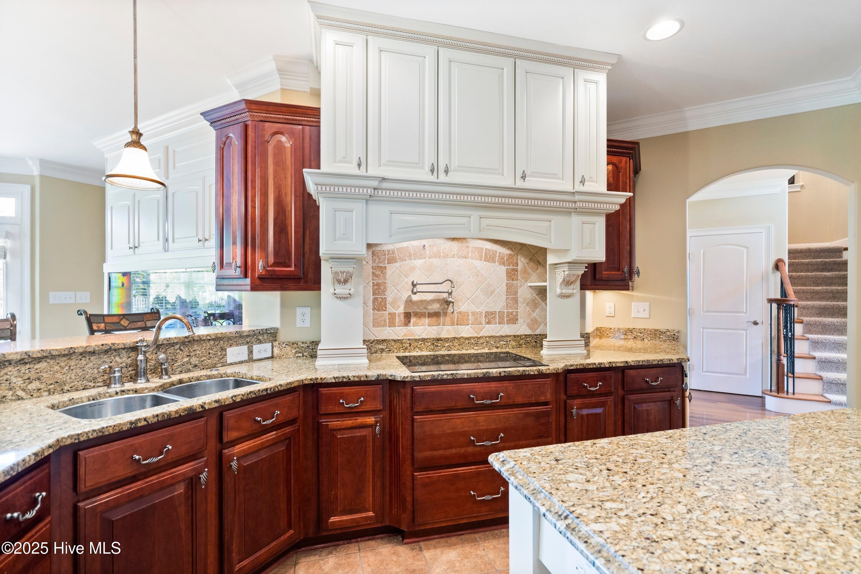 100518438 | Photo 24