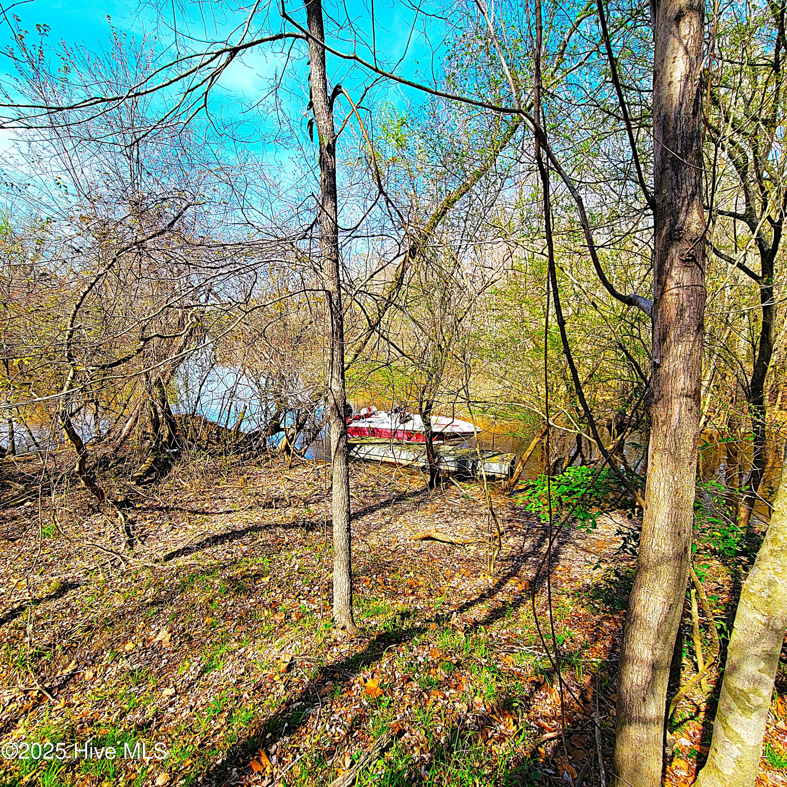 100496184 | Photo 13