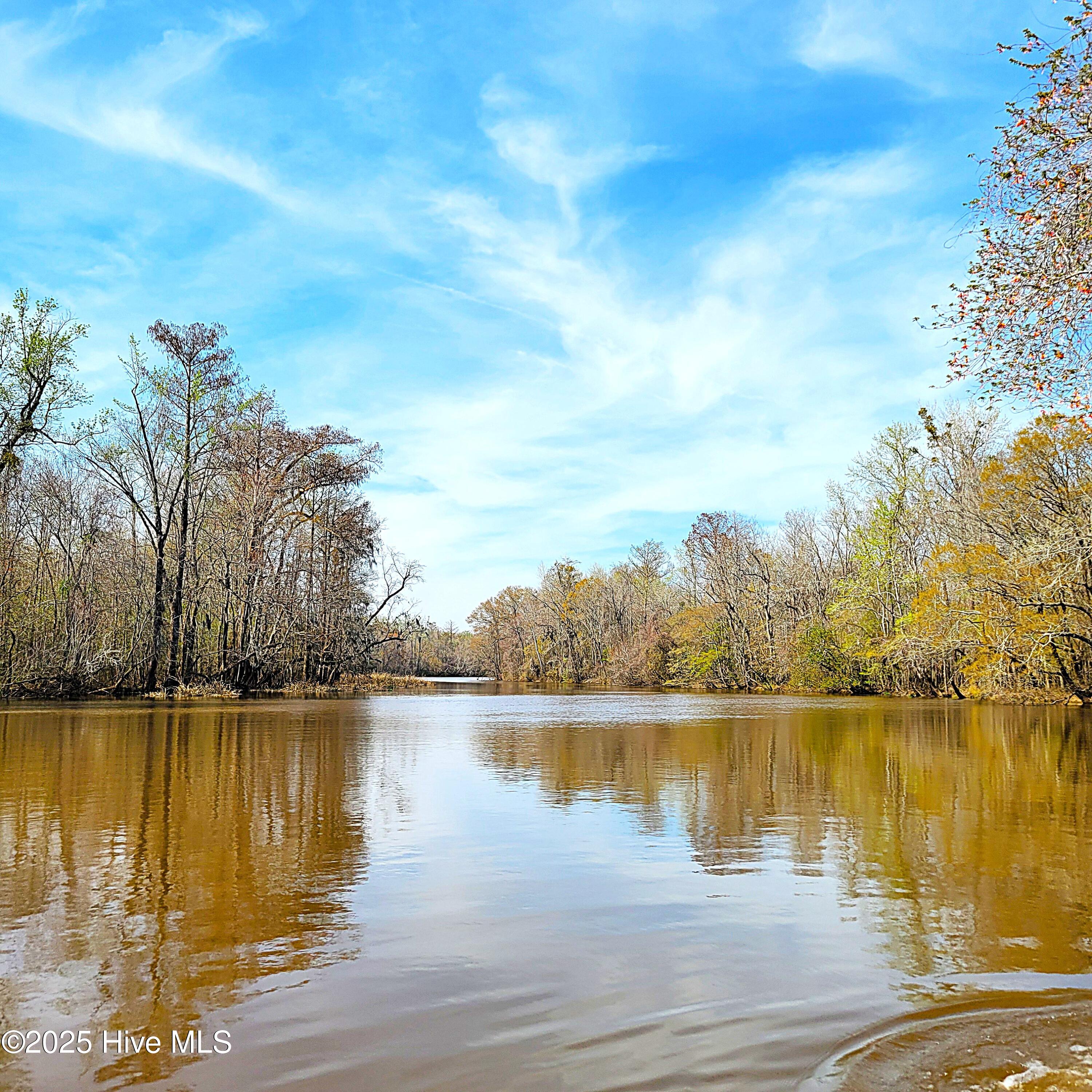 100496184 | Photo 32