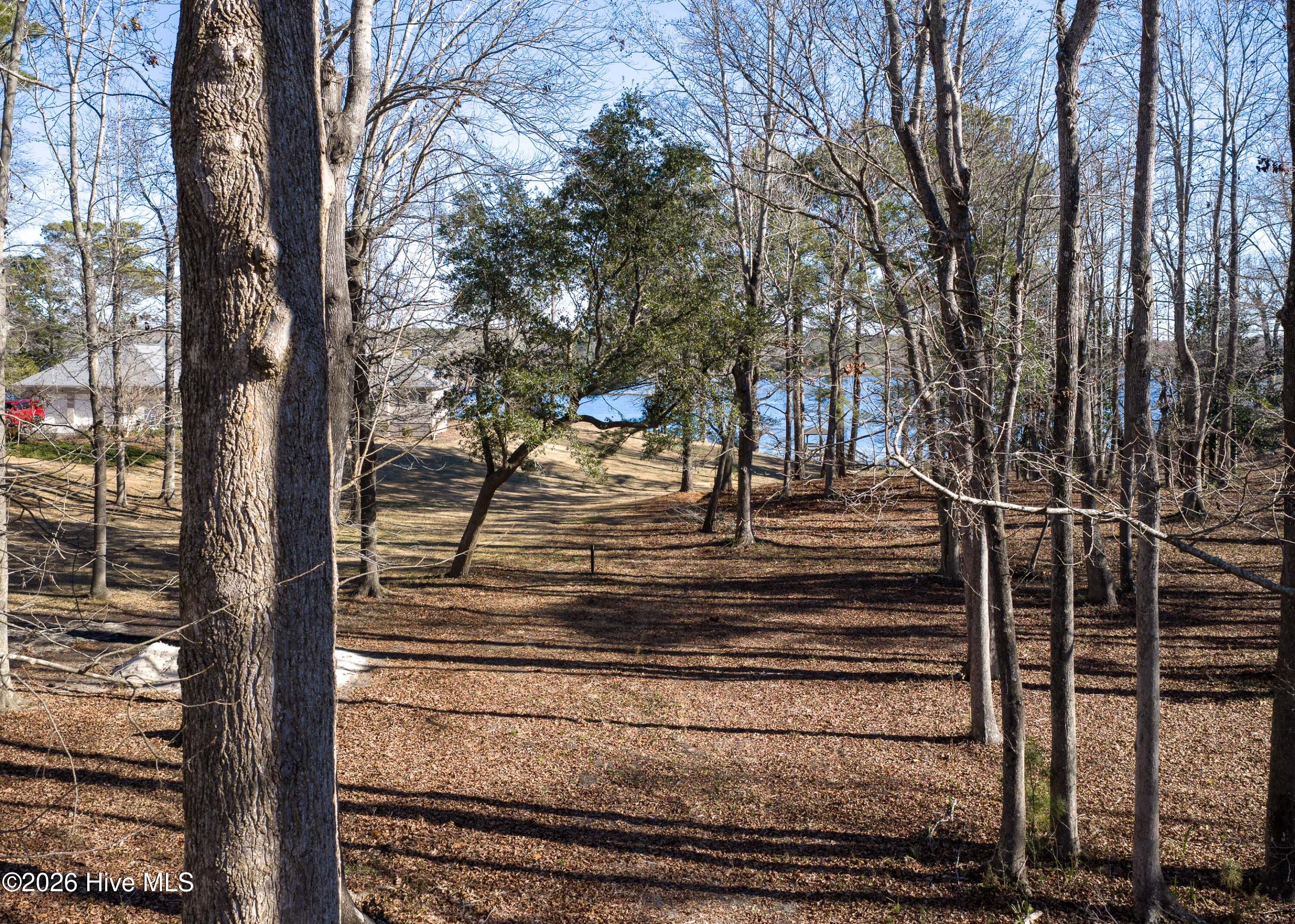 100551638 | Photo 15