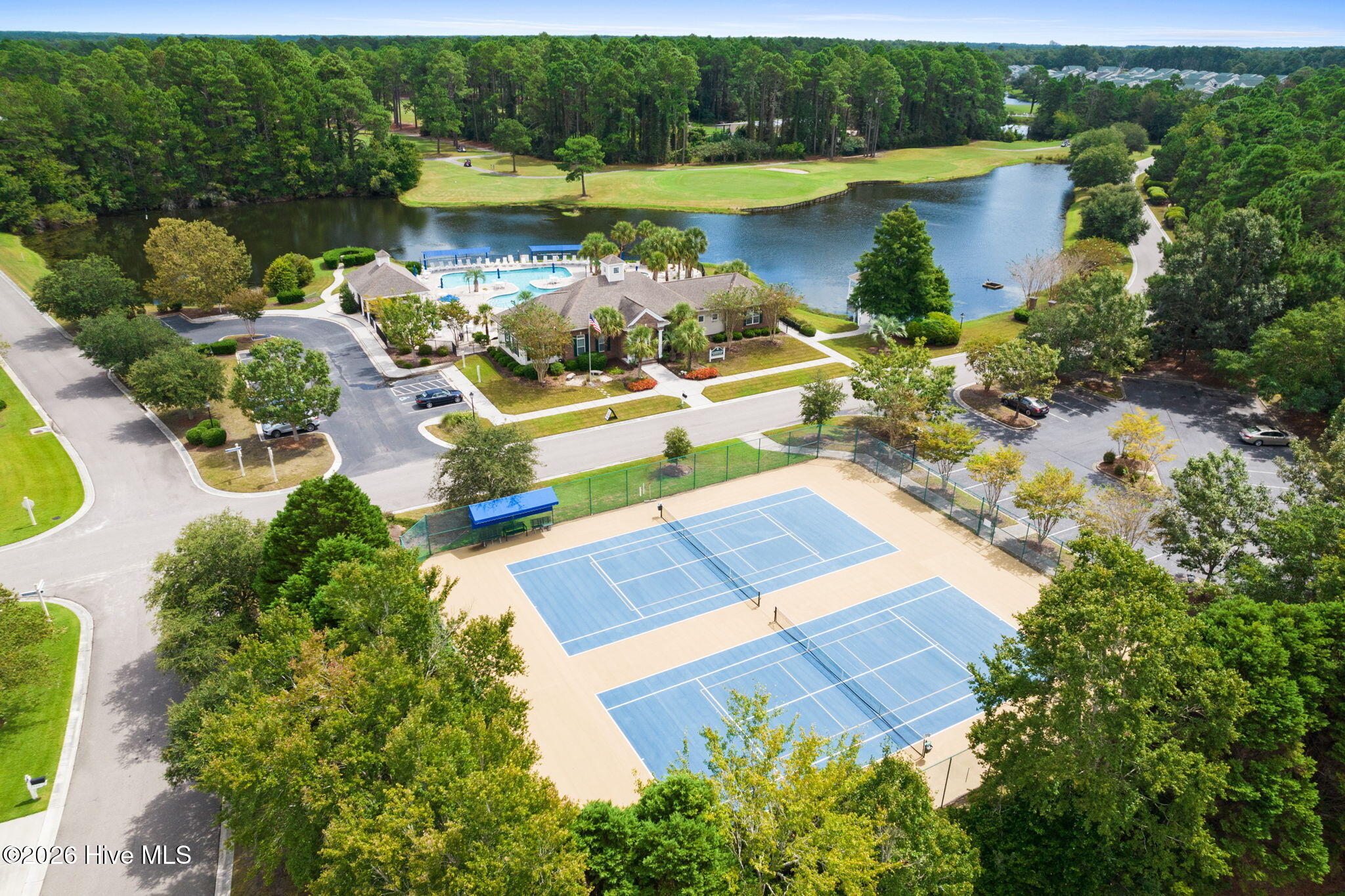 100559381 | Photo 43