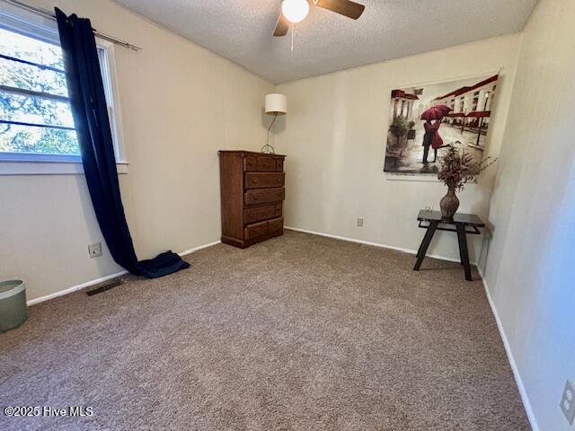 100544105 | Photo 19