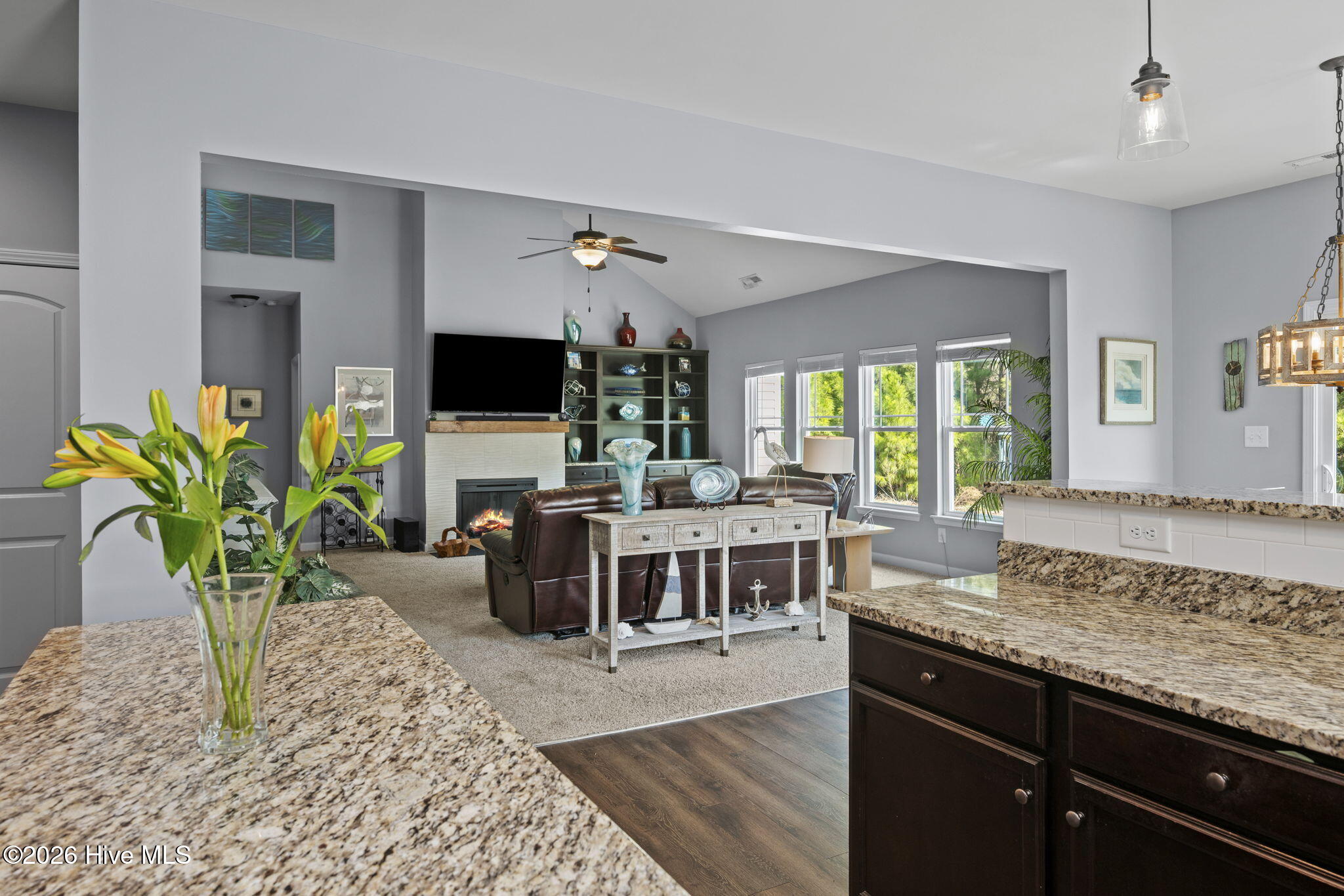 100558397 | Photo 12