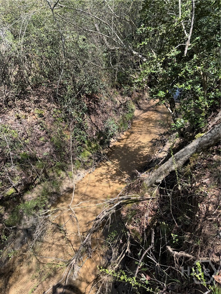 738 Old Mineral Springs Road, Elberton, GA, 30635