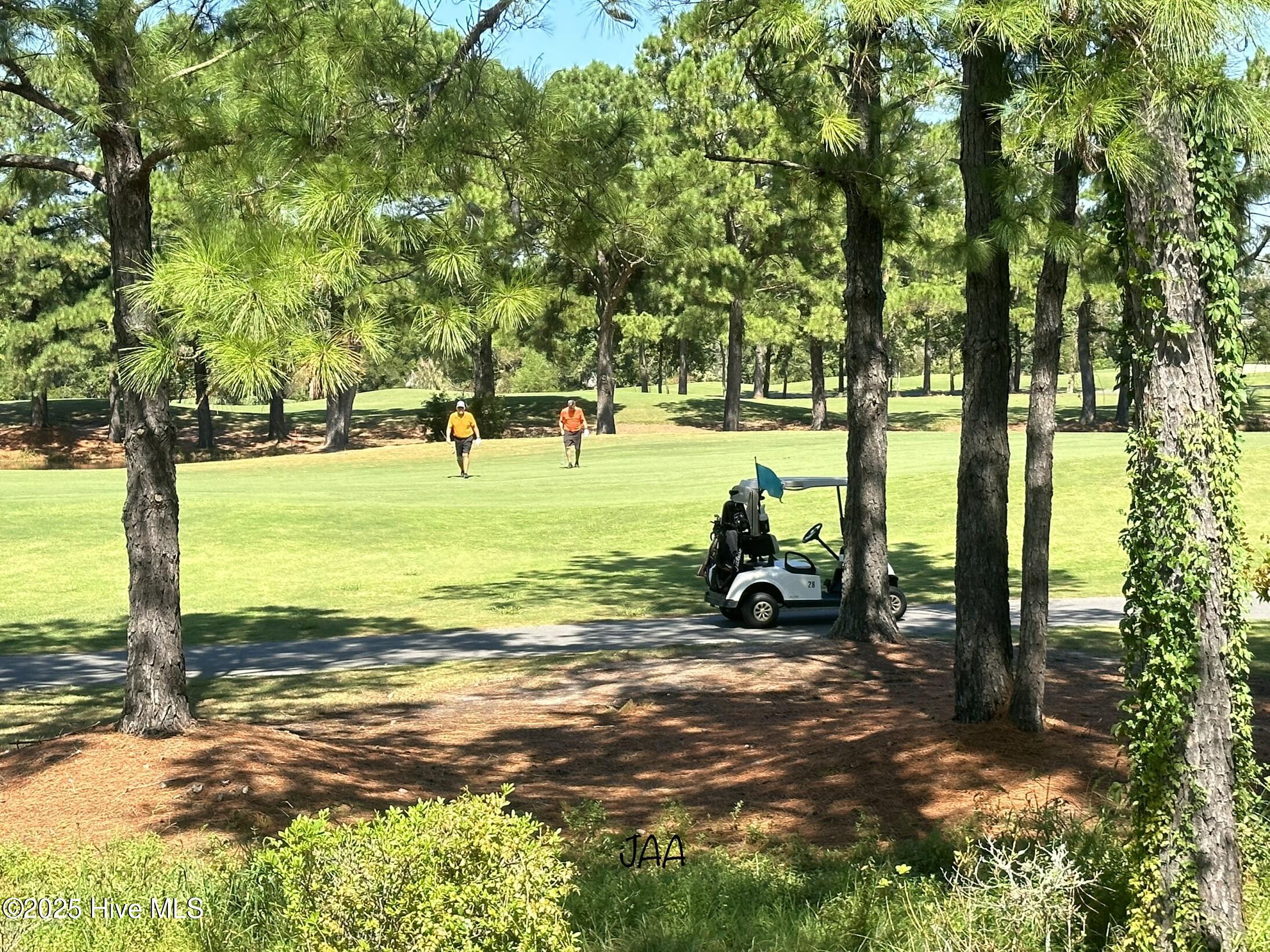 100546670 | Photo 39