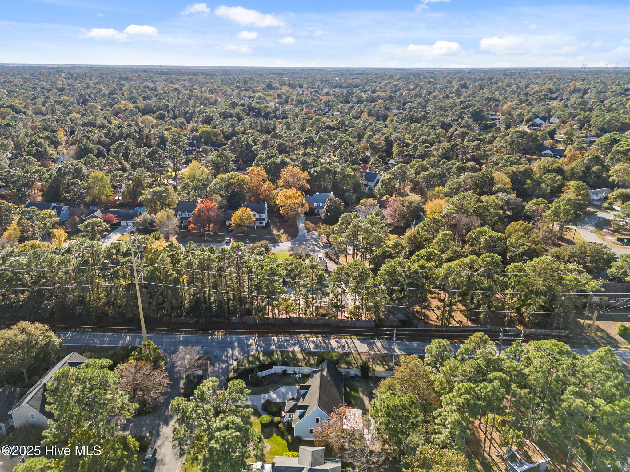 100539948 | Photo 51