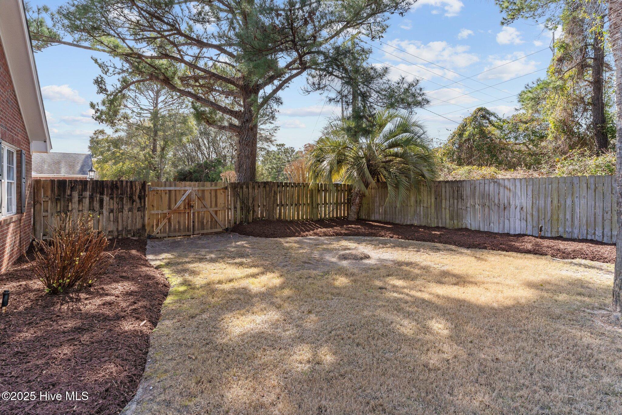 100540163 | Photo 47