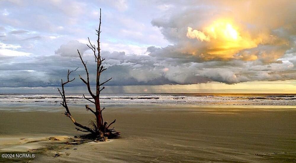 100544330 | Photo 41