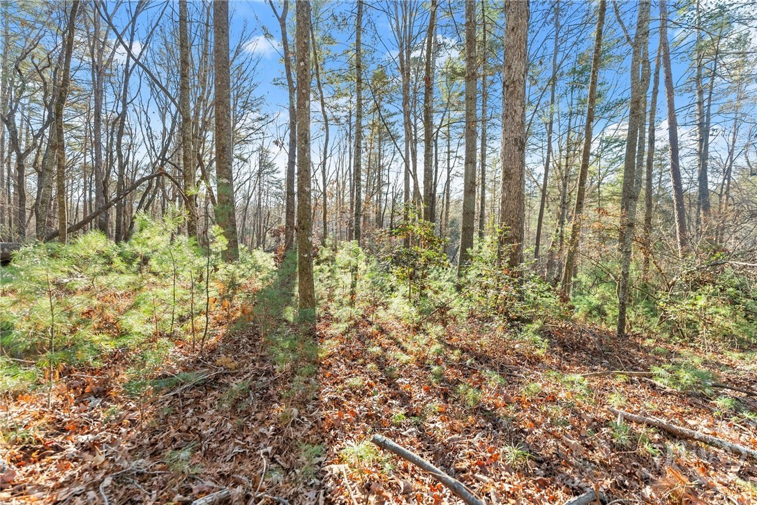 Shoal Creek Tract Habersham County