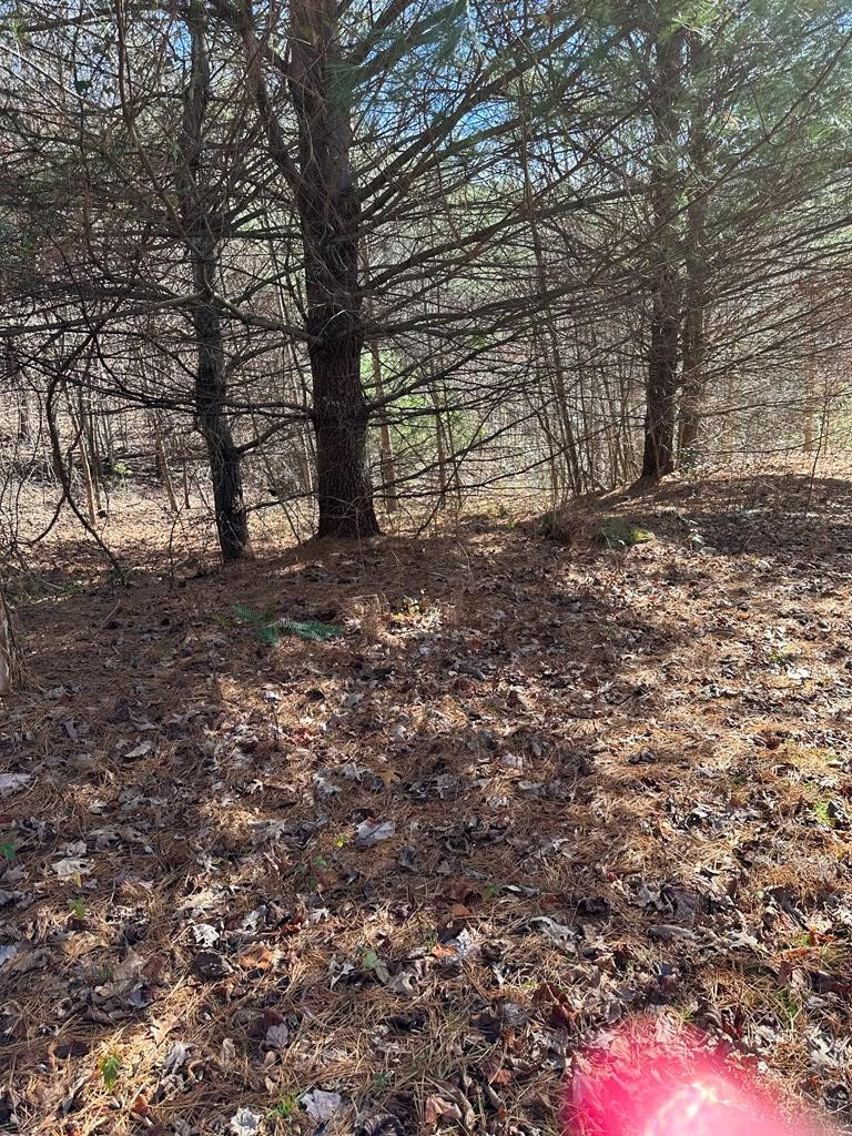 Exterior photo of 5 lots Ali Drive, Hayesville, NC 28904. MLS: 98524641