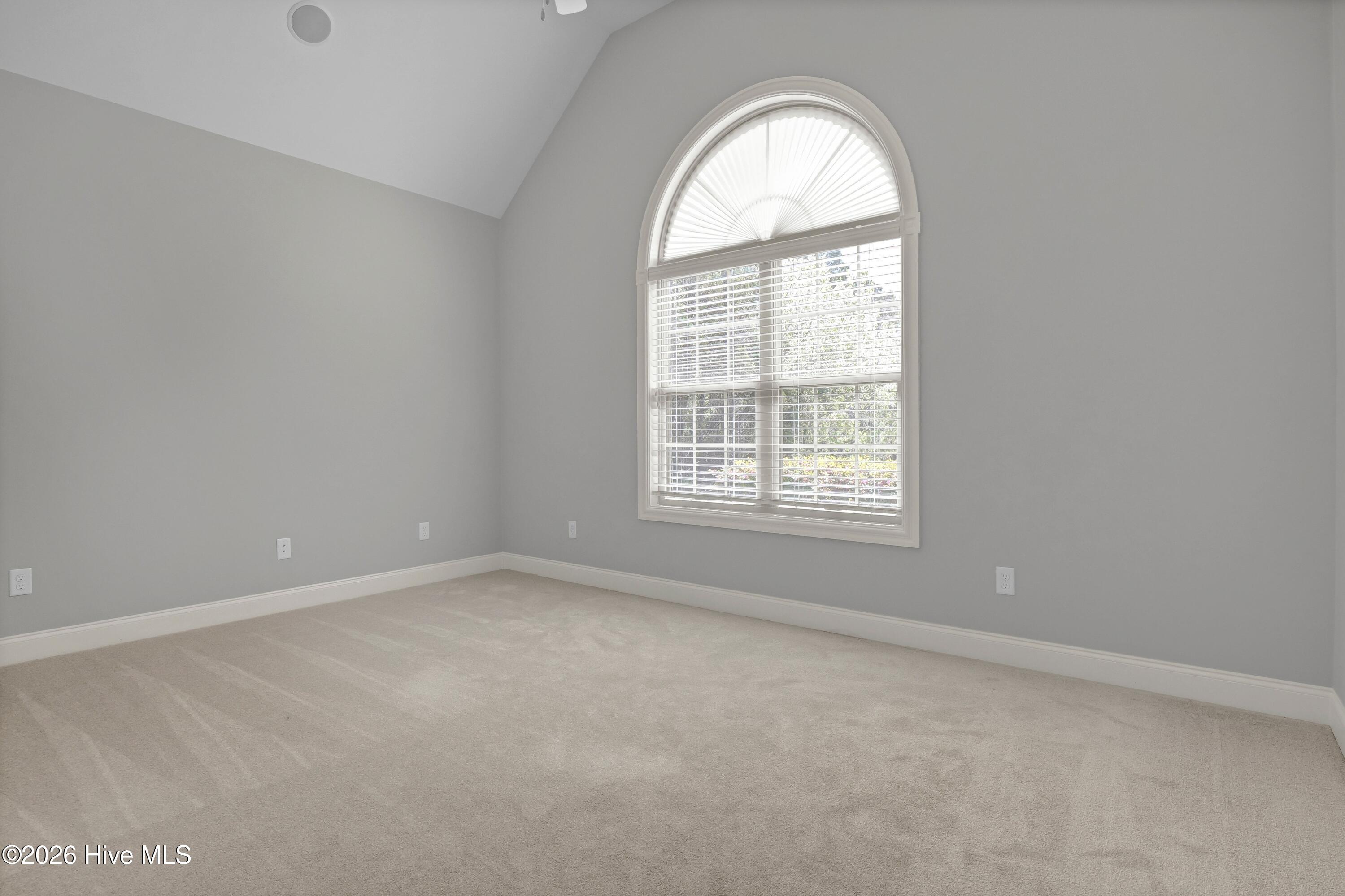 100560728 | Photo 20