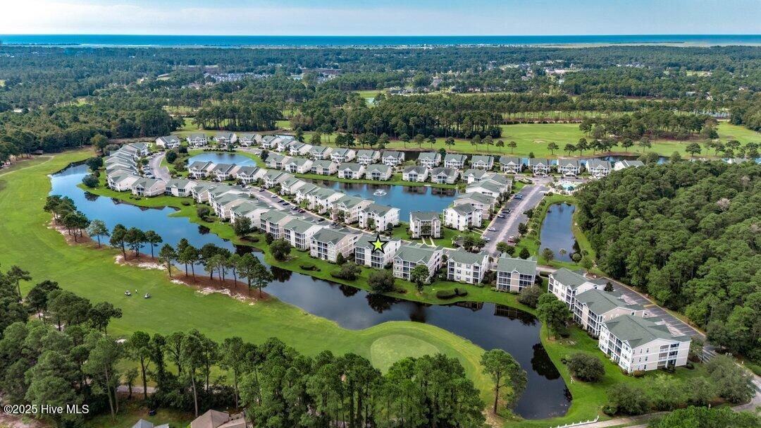 100528318 | Photo 32