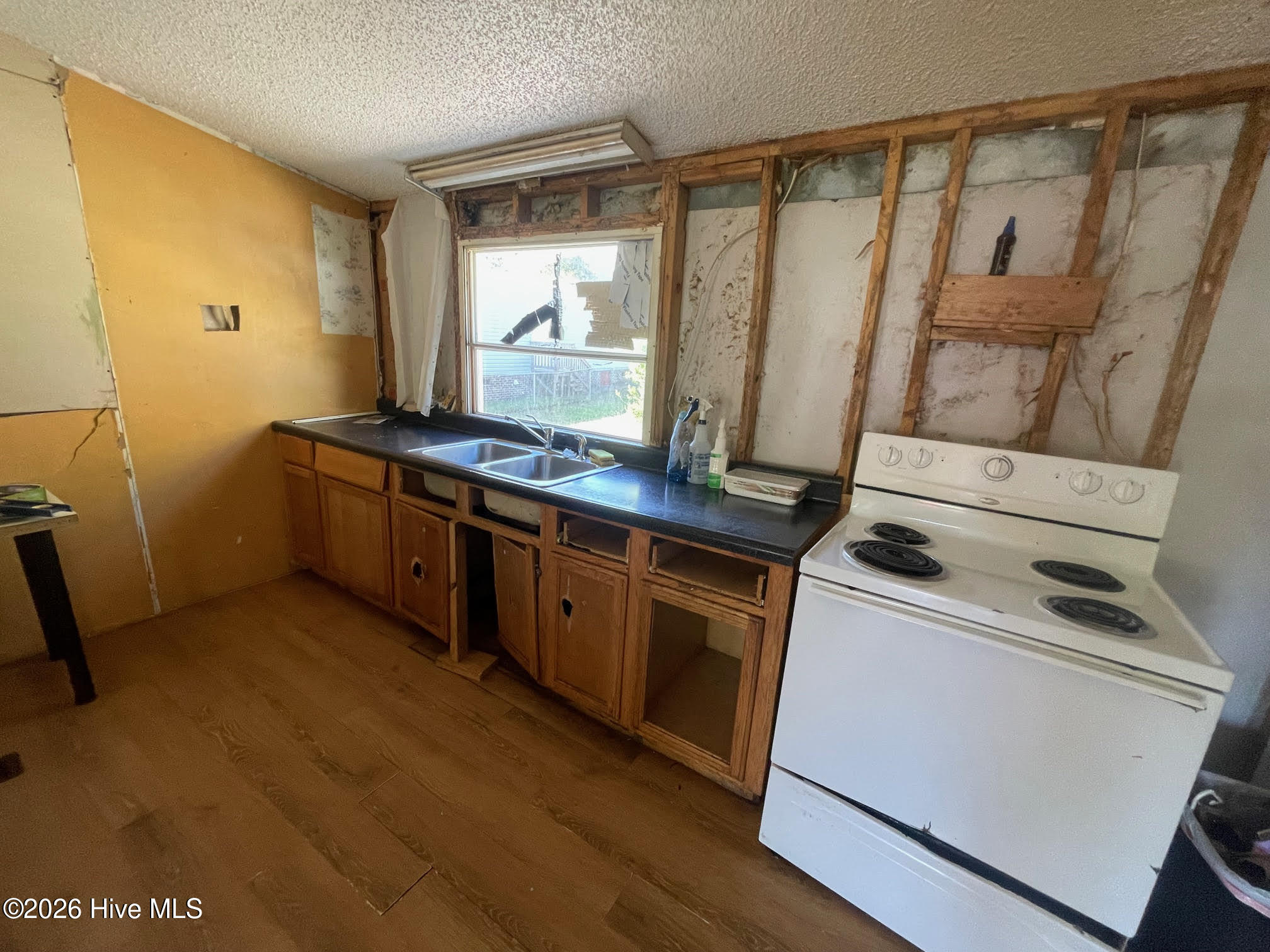 100559877 | Photo 16