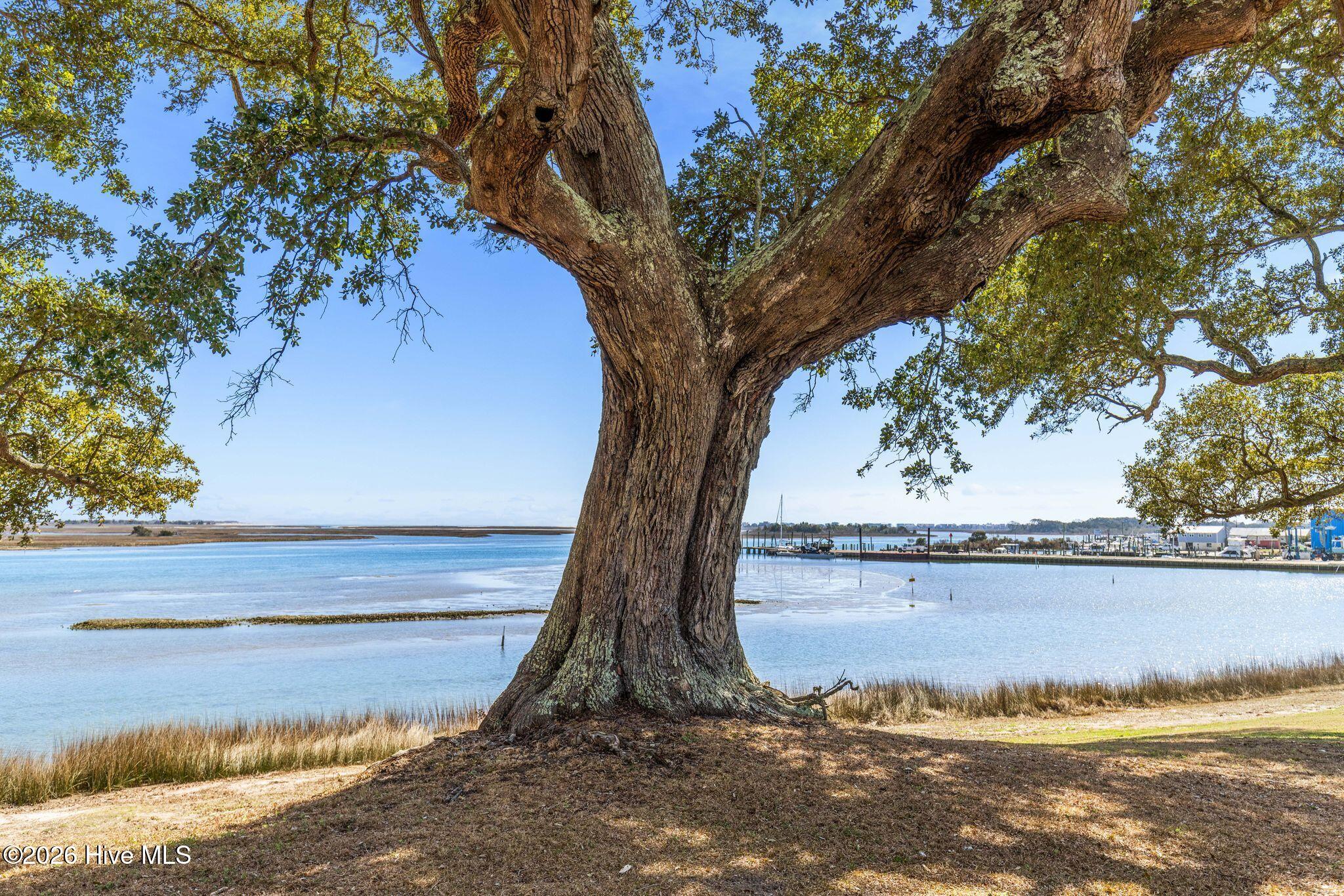 1.75ac Flamingo Lane, Sneads Ferry, NC, 28460