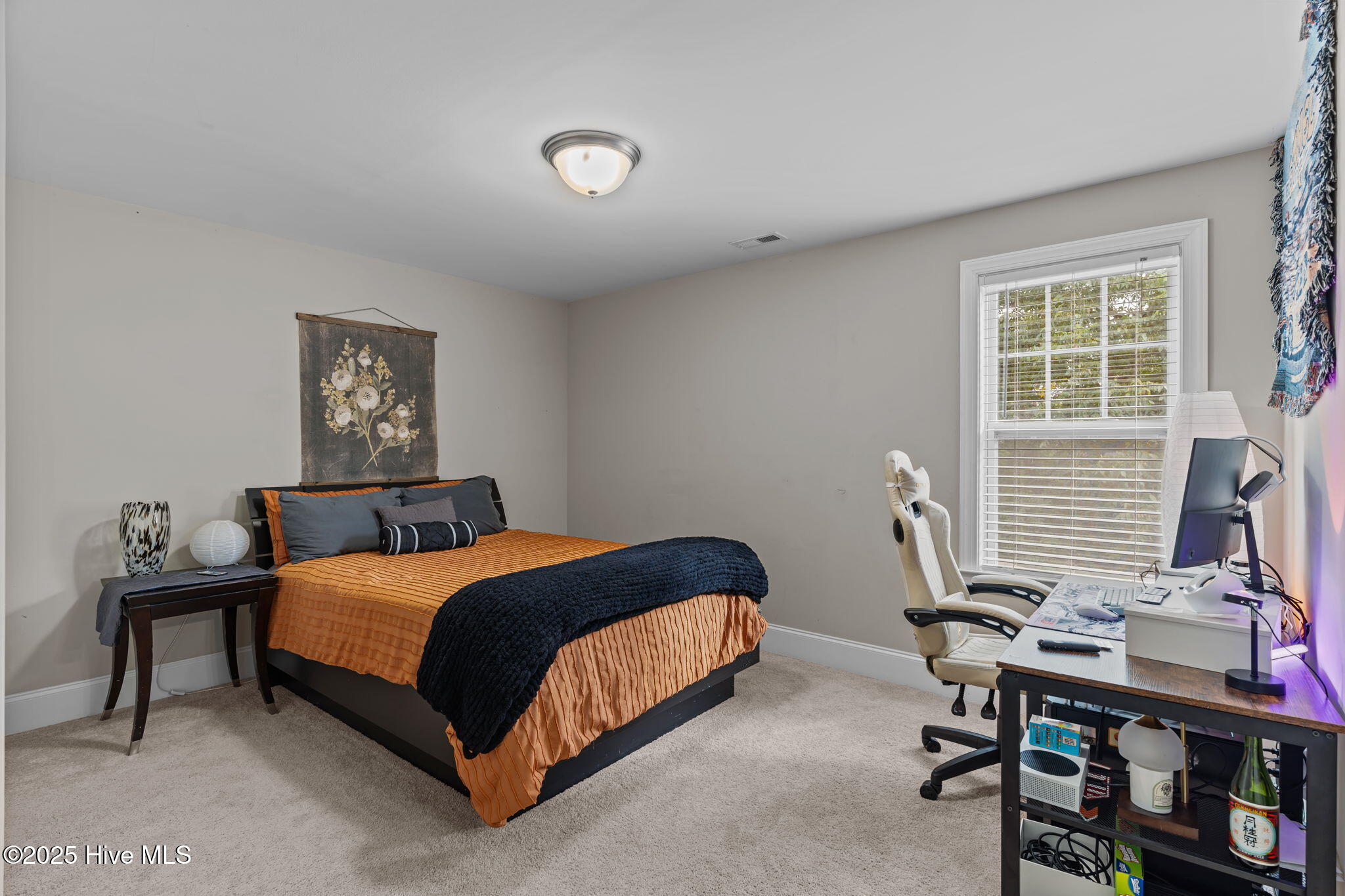 100535481 | Photo 28