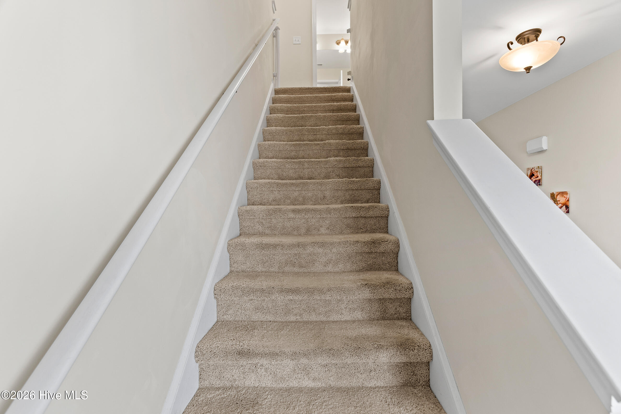 100564735 | Photo 14