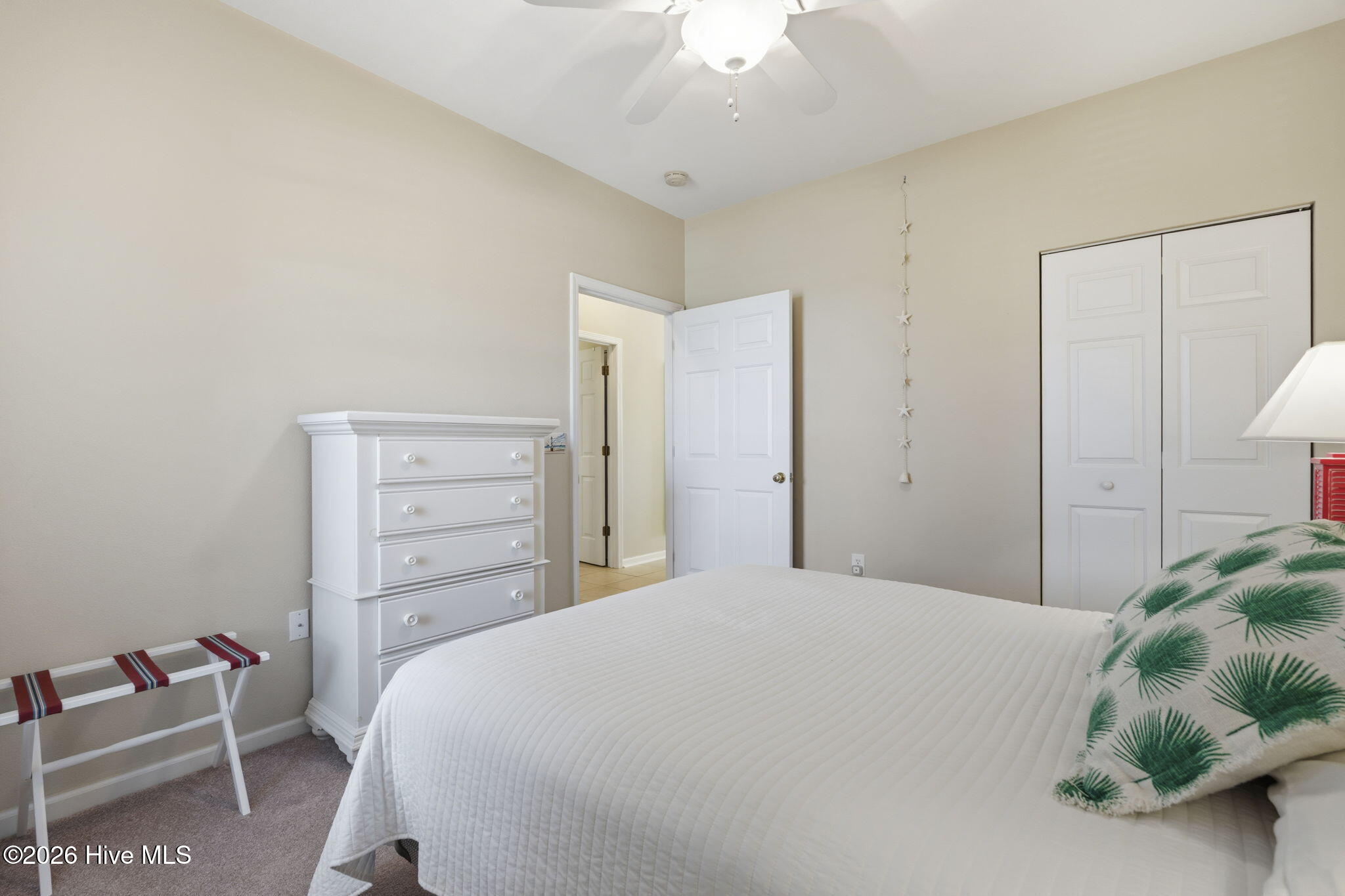 100569052 | Photo 26