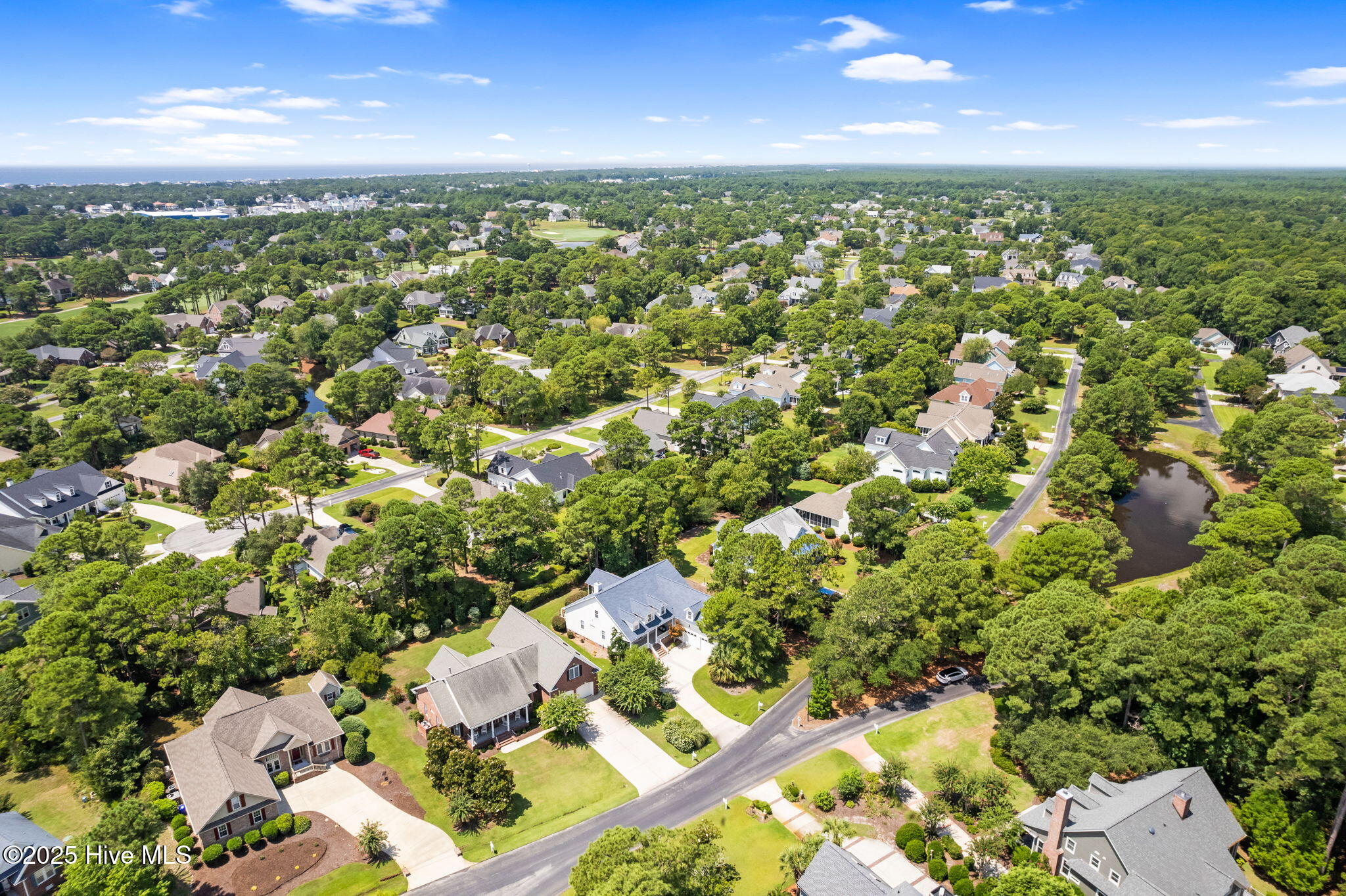 100523861 | Photo 87