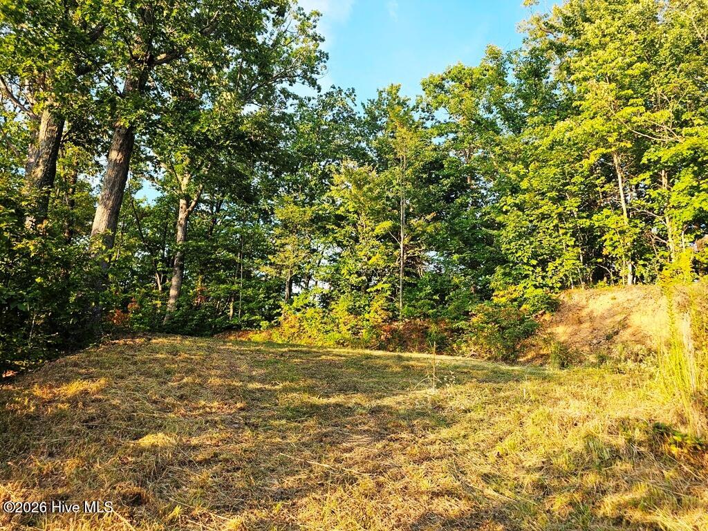 Land for sale at 45 Timberwood Dr, Marble, NC 28905 | MLS# 100605185