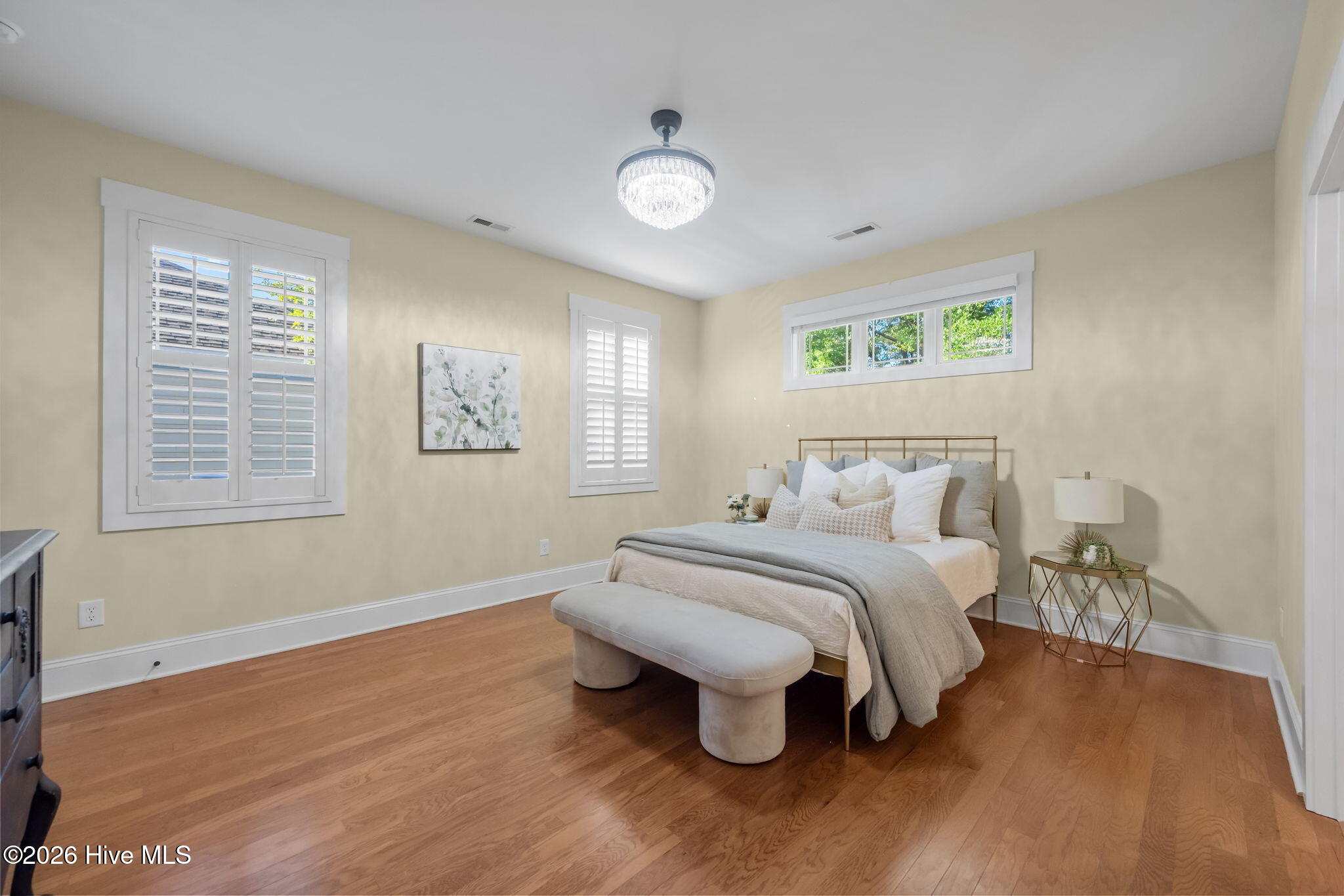 100569497 | Photo 26