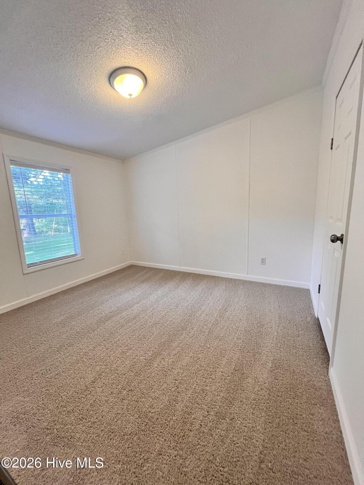 100570125 | Photo 15