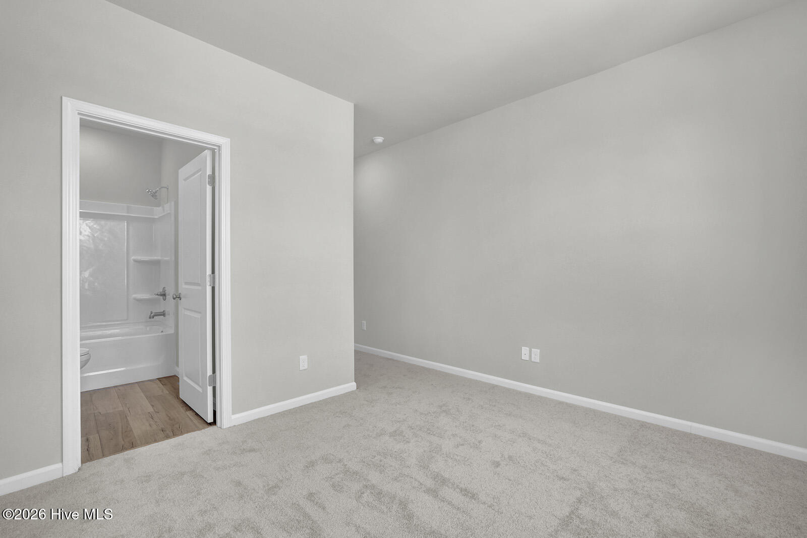 100538172 | Photo 24