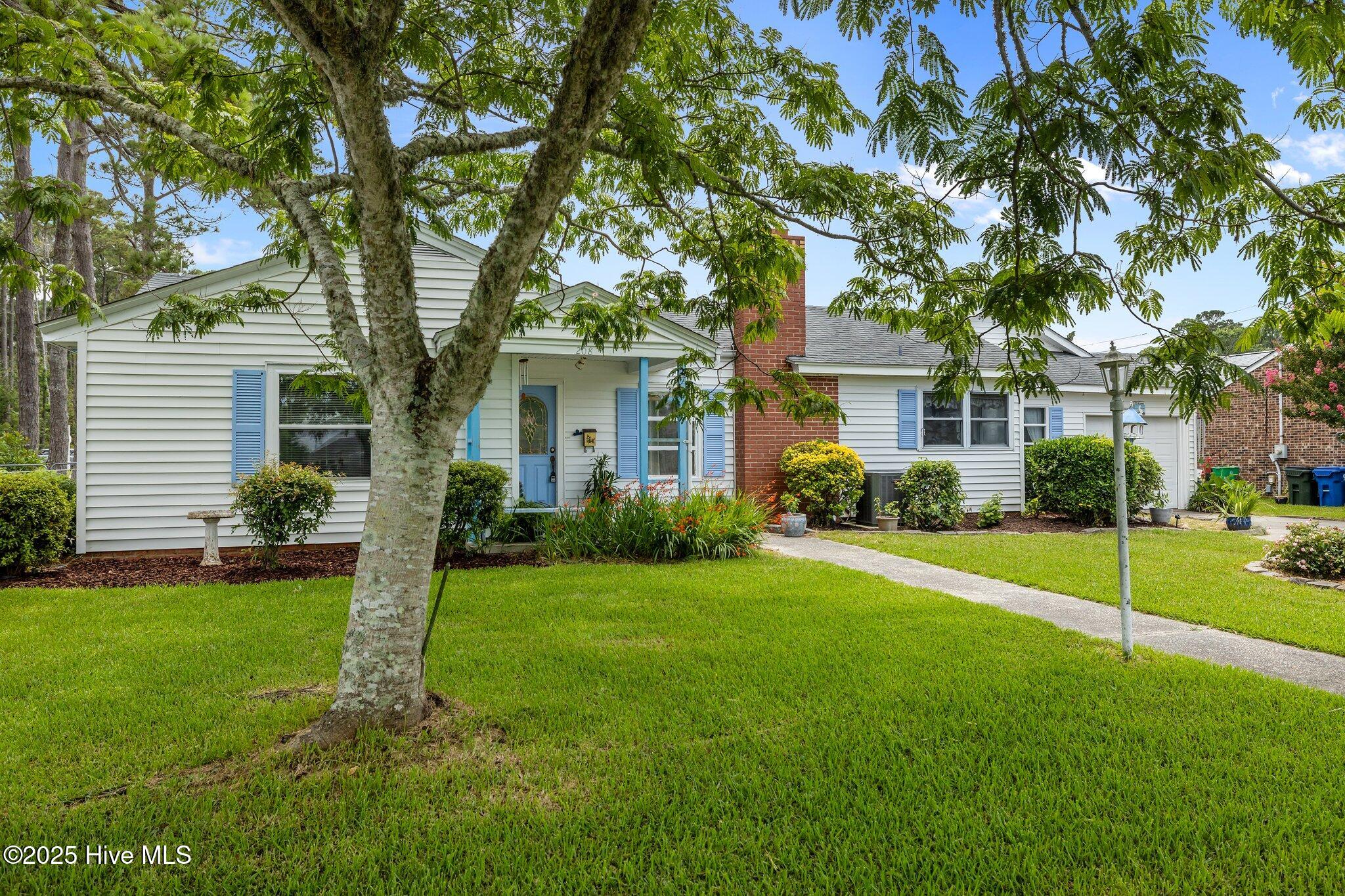 34-web-or-mls-1S3A6028