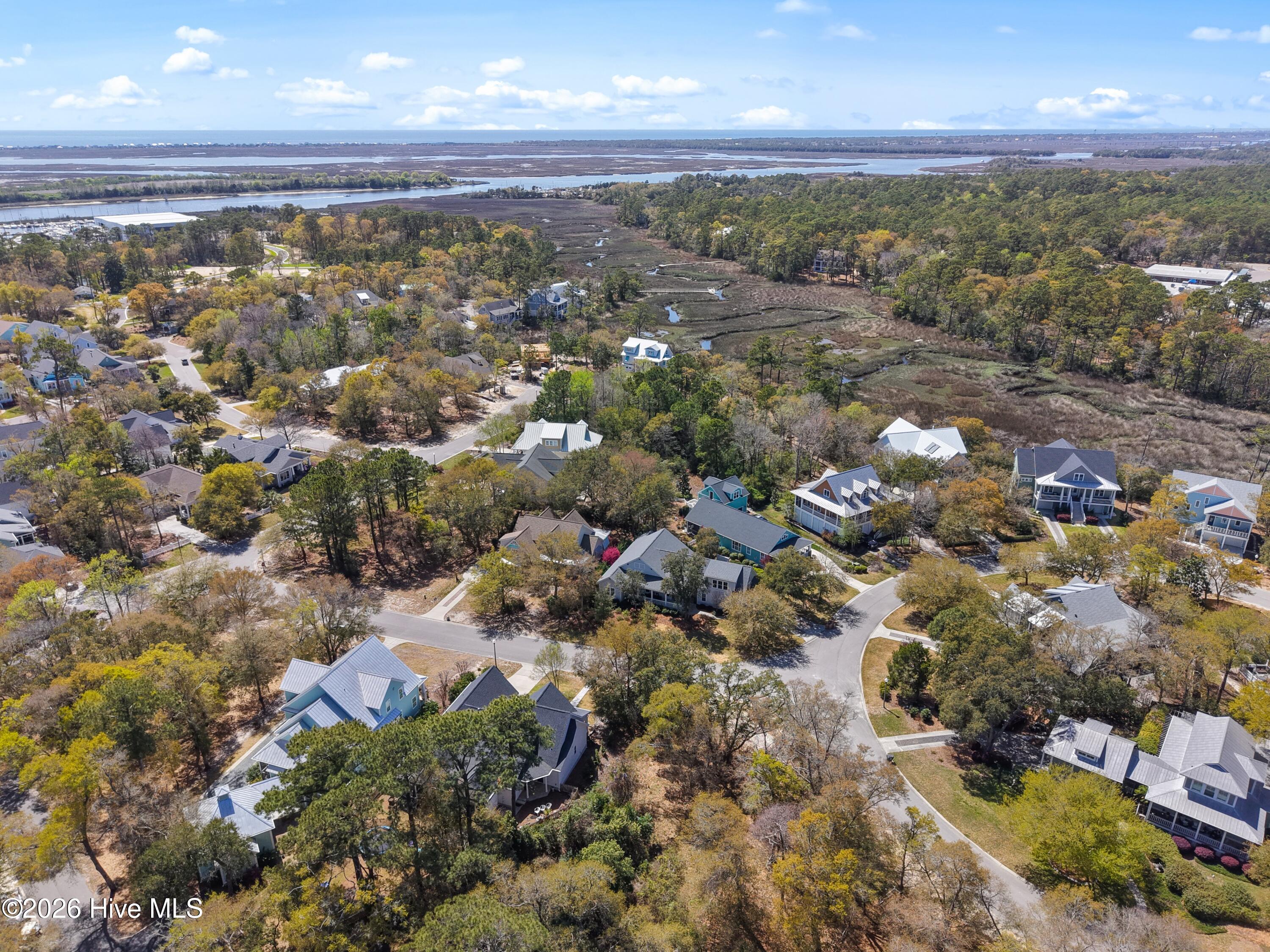 100563883 | Photo 15