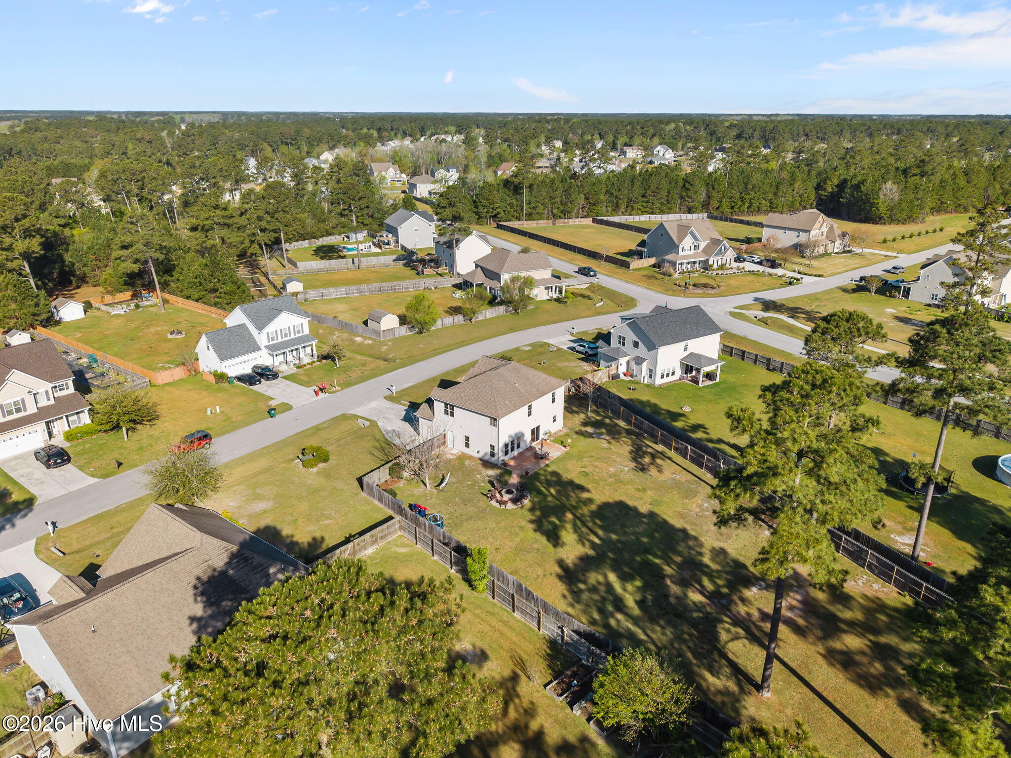 100565873 | Photo 43