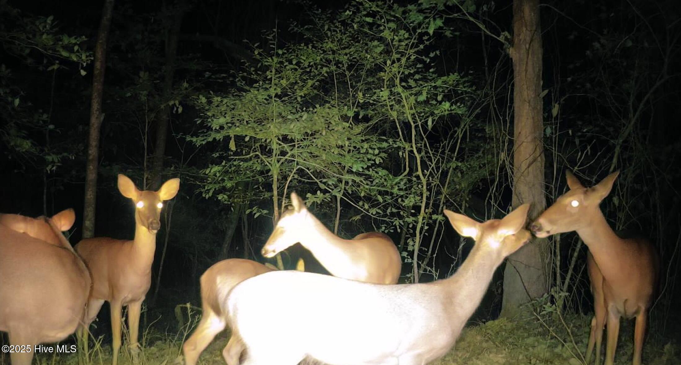 100545251 | Photo 28