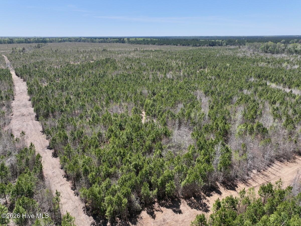 0 Guinea Mill Road, Ernul, NC, 28527