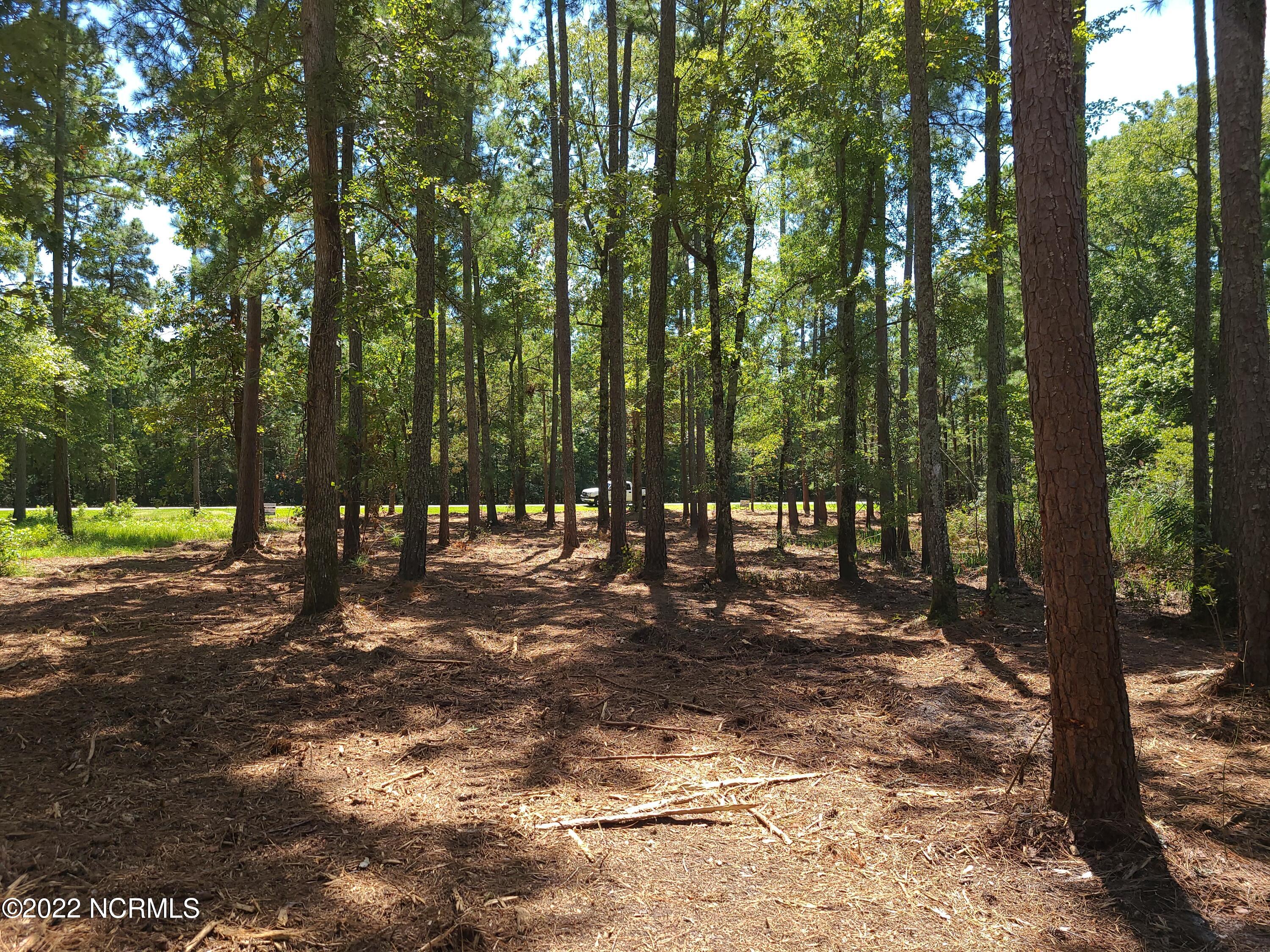 6 Ashton Drive, Bath, NC, 27808