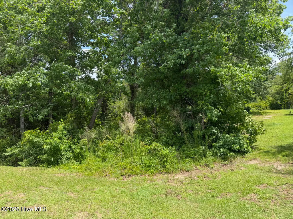 Shirley Johnson - MLS Number: 100389771