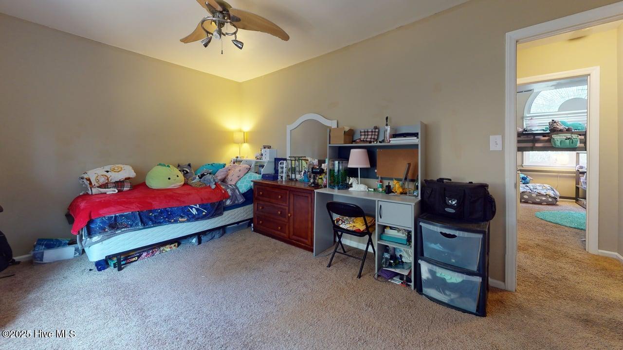 100541217 | Photo 31