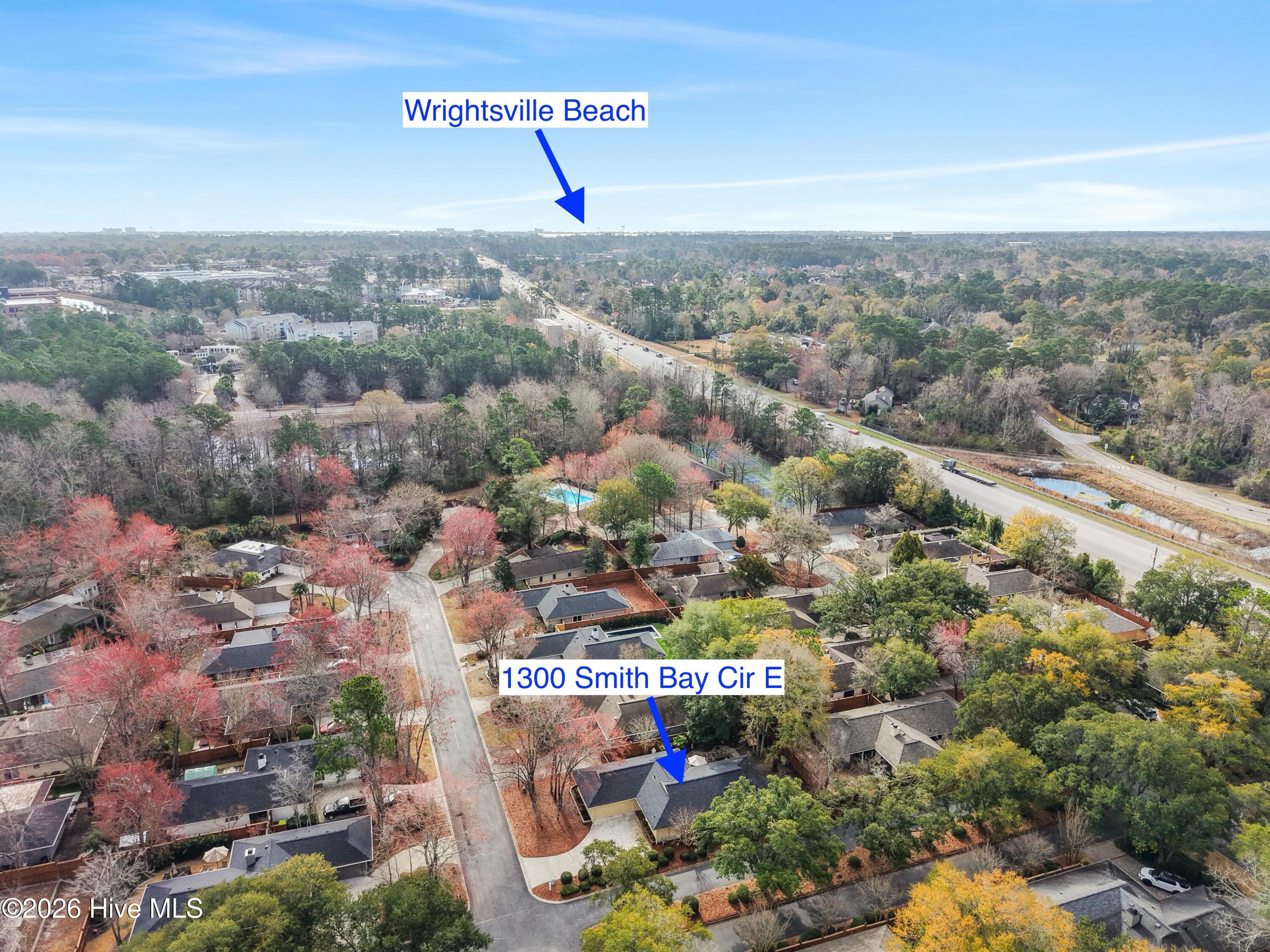 100558002 | Photo 48