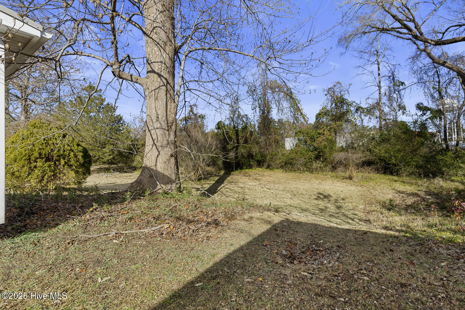 100545994 | Photo 32