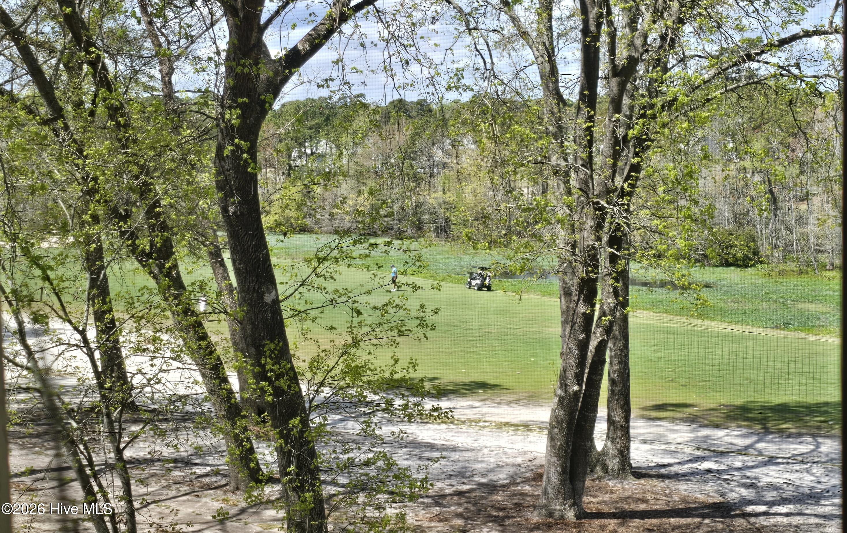 100567521 | Photo 24