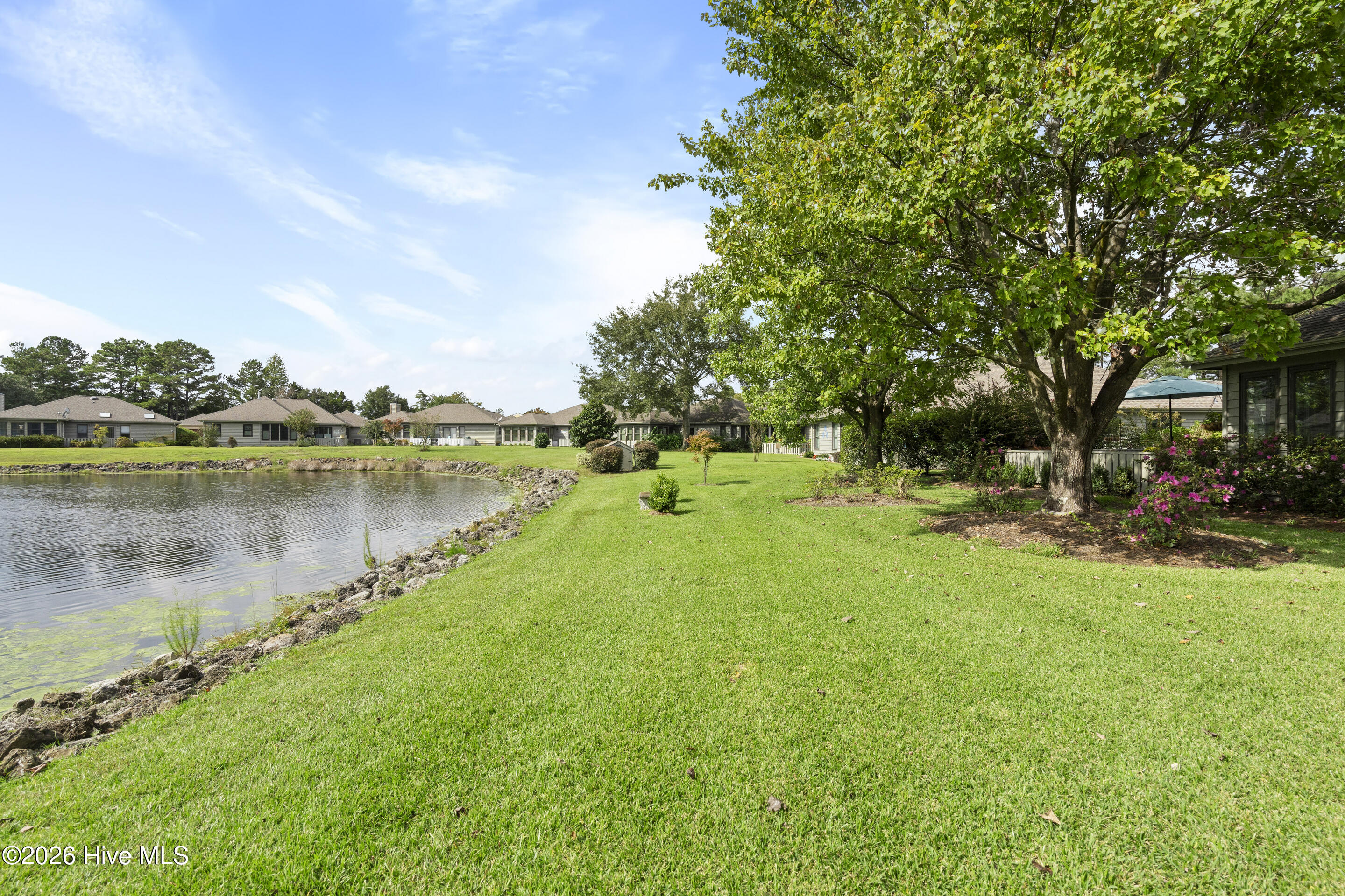 100558644 | Photo 49