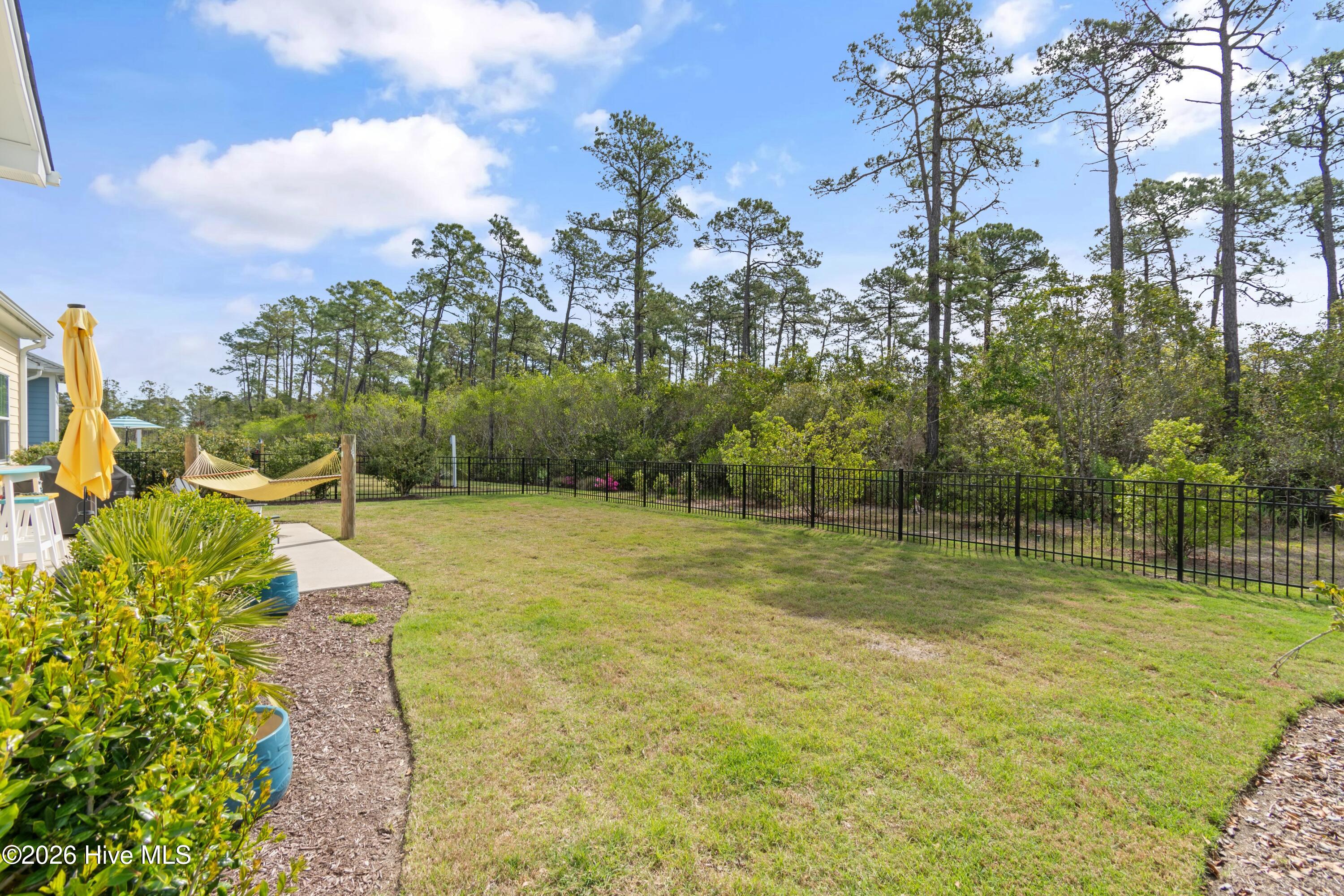 100566064 | Photo 40