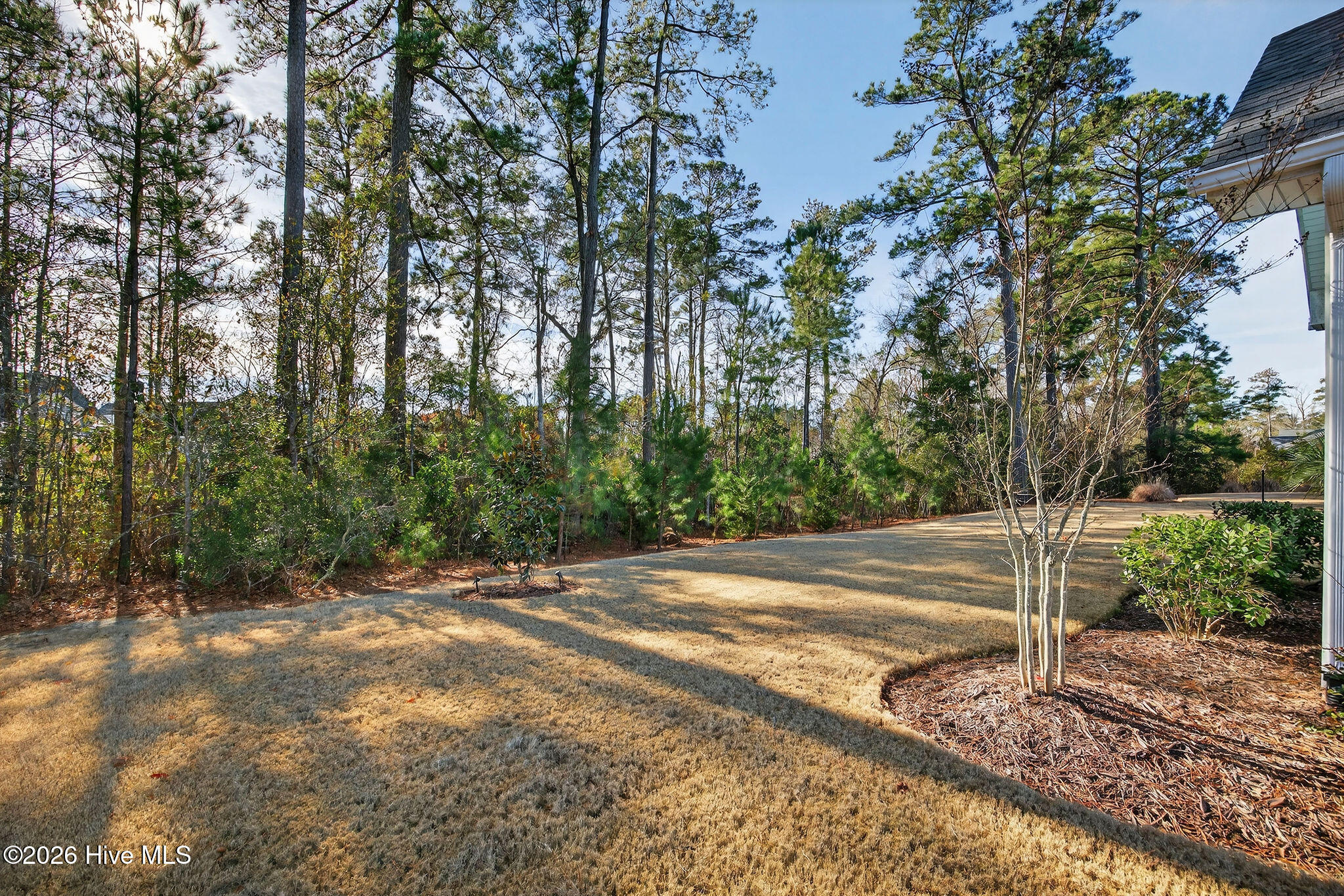 100554107 | Photo 56