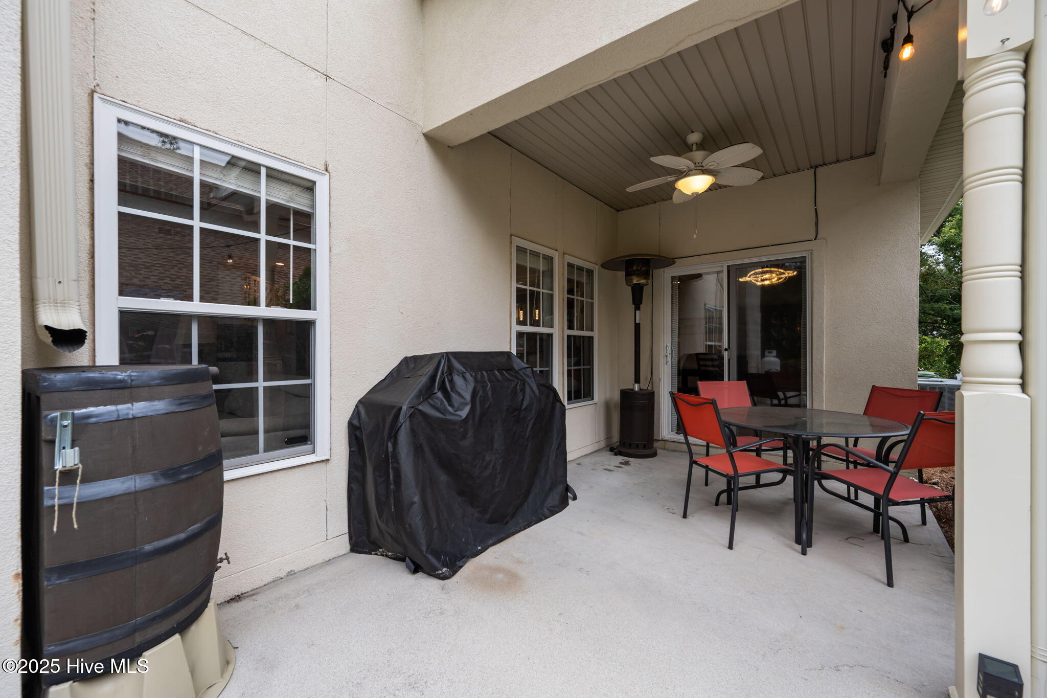 100524687 | Photo 53