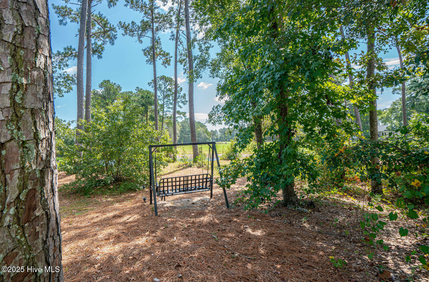 100534571 | Photo 105