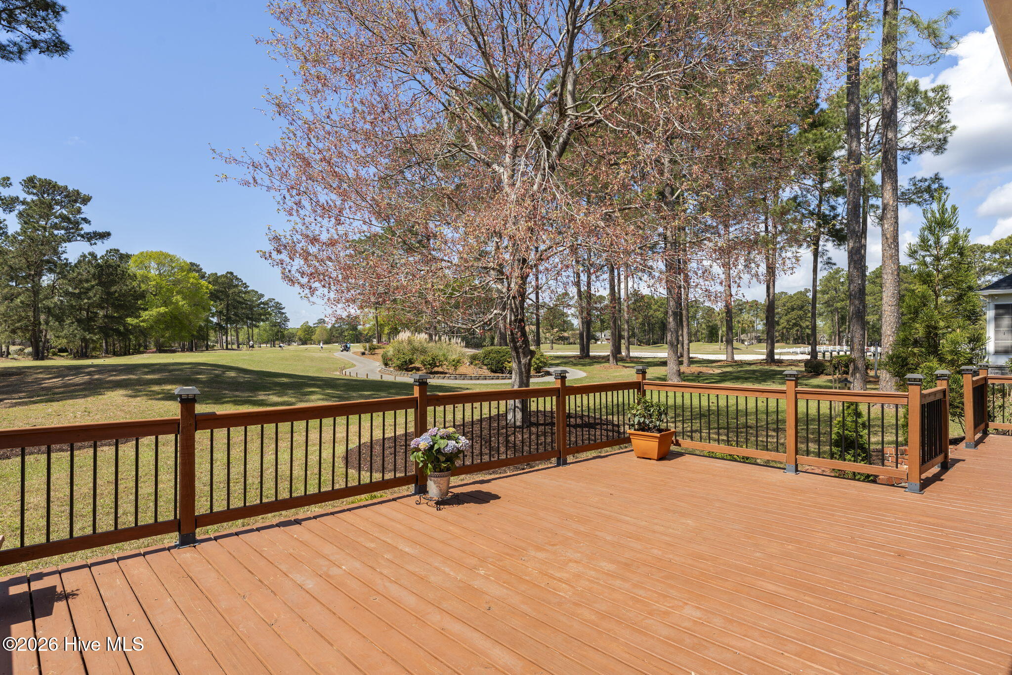 100563951 | Photo 15