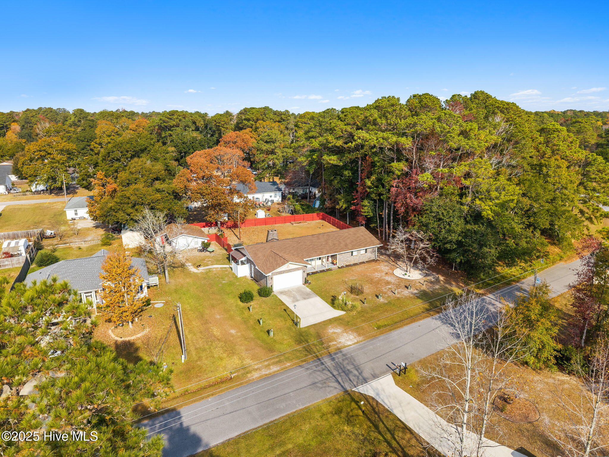 100543721 | Photo 51